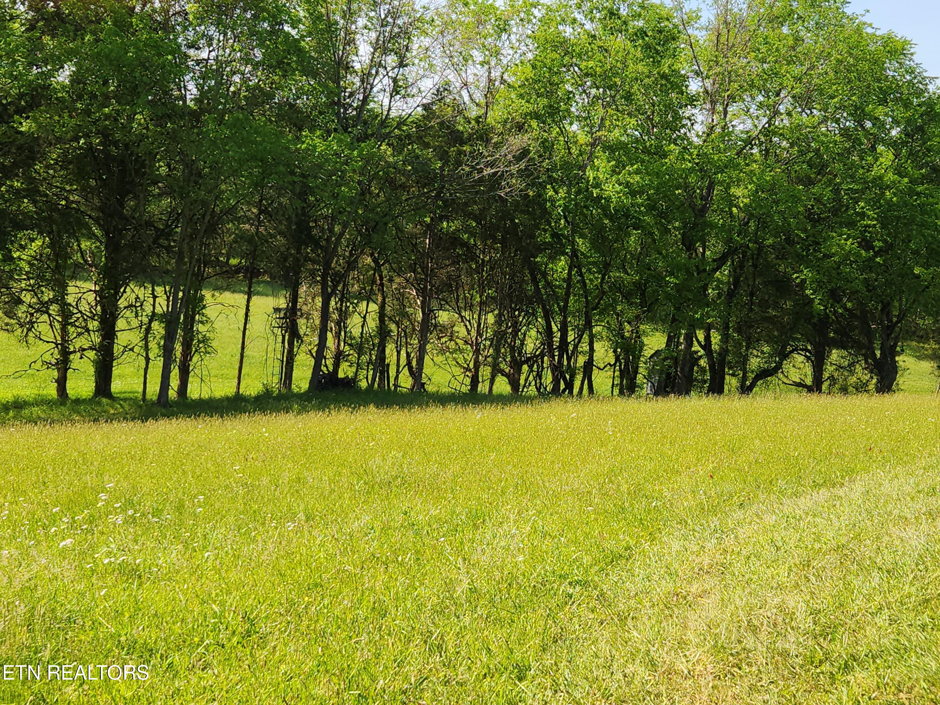 277 County Road 408 Englewood TN 37329