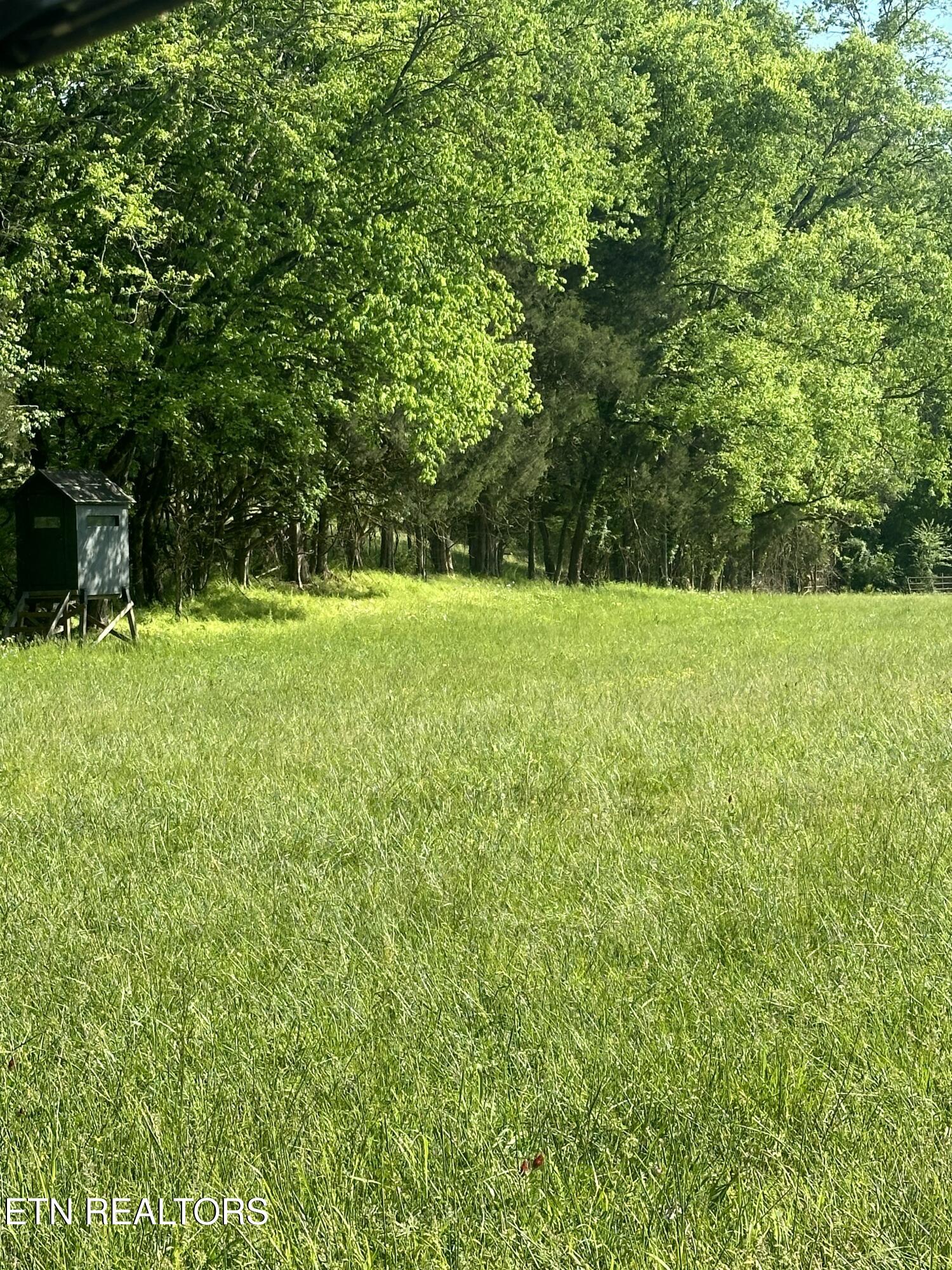 277 County Road 408 Englewood TN 37329