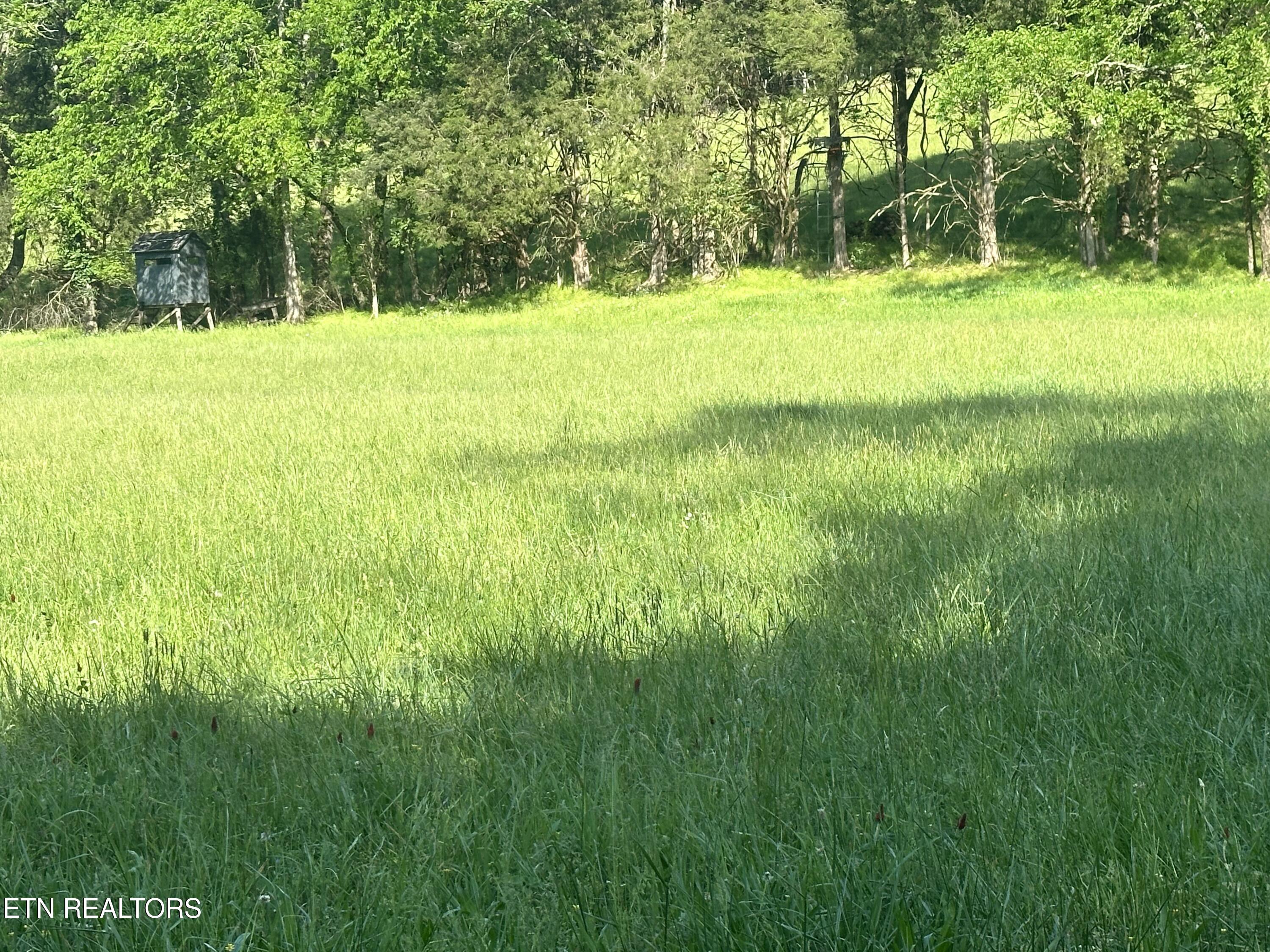 277 County Road 408 Englewood TN 37329