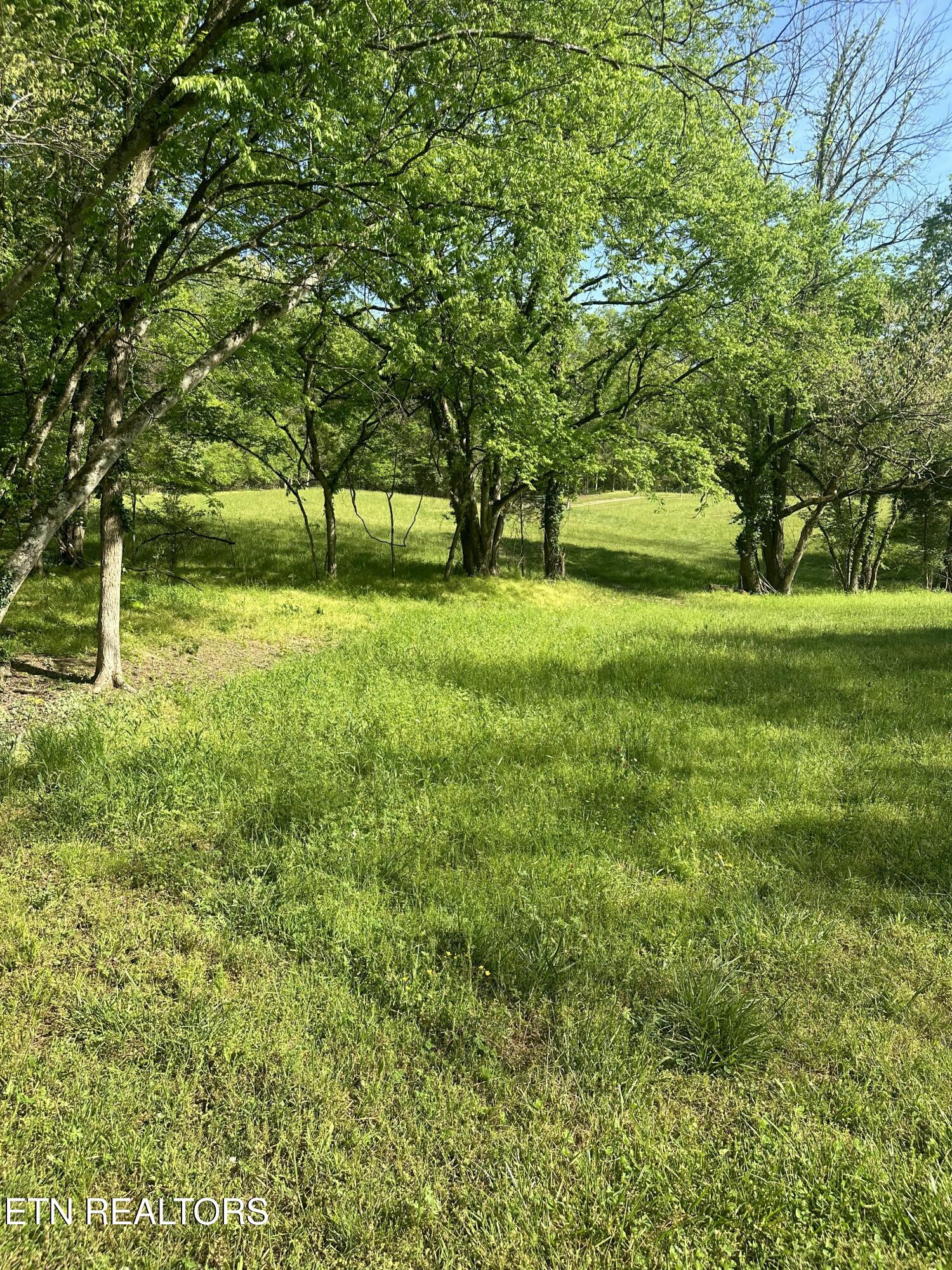 277 County Road 408 Englewood TN 37329
