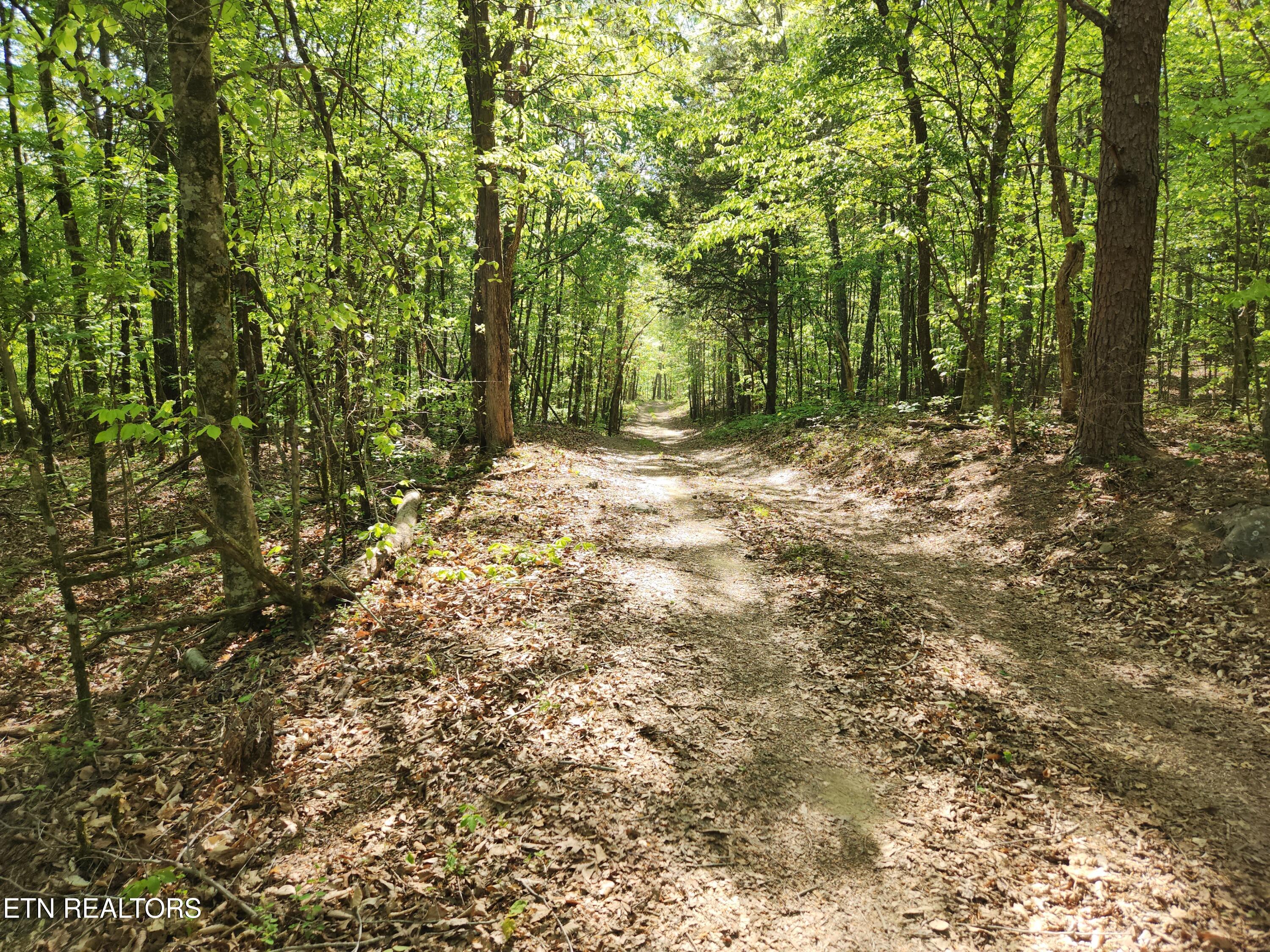 277 County Road 408 Englewood TN 37329
