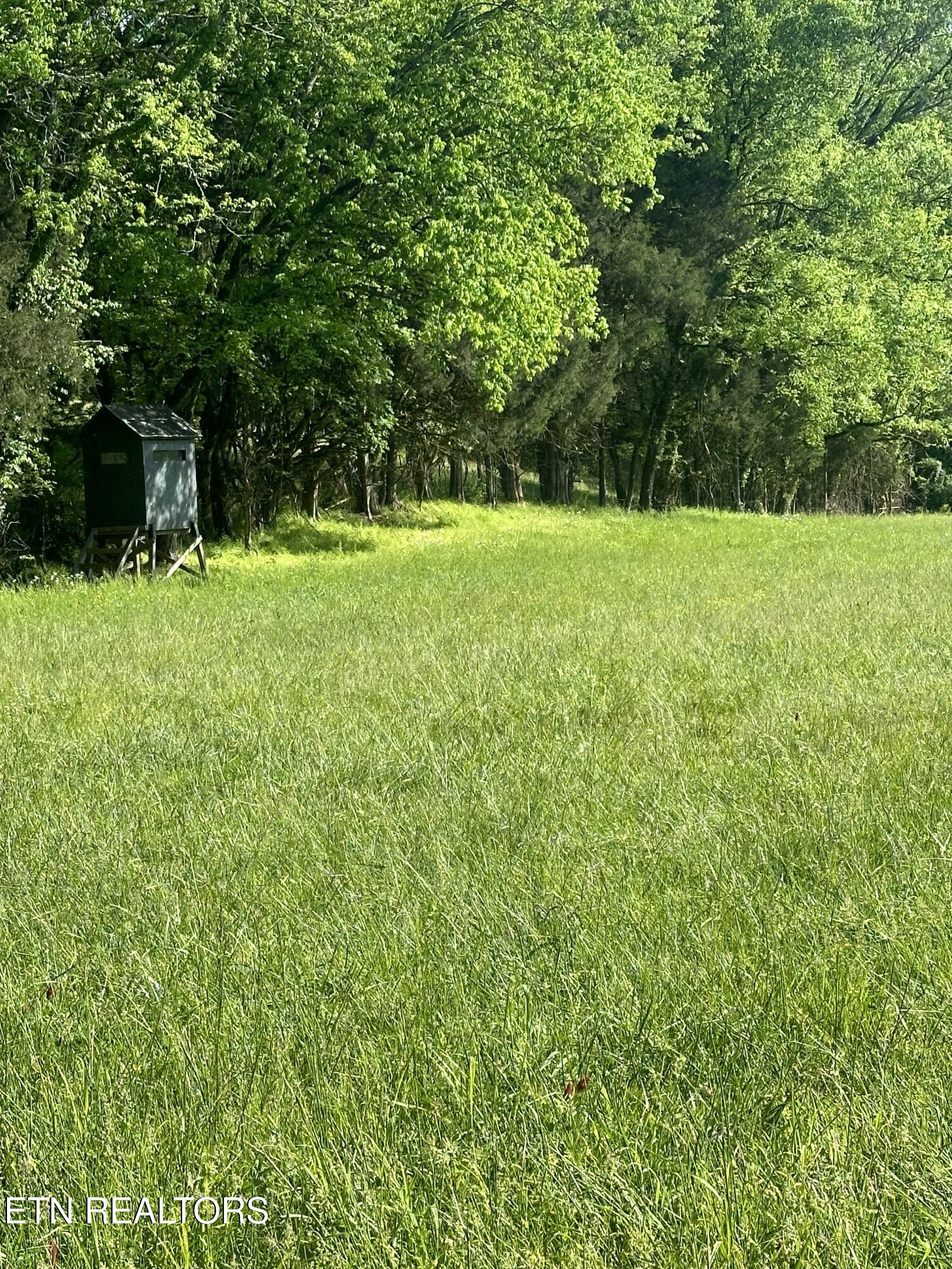 277 County Road 408 Englewood TN 37329