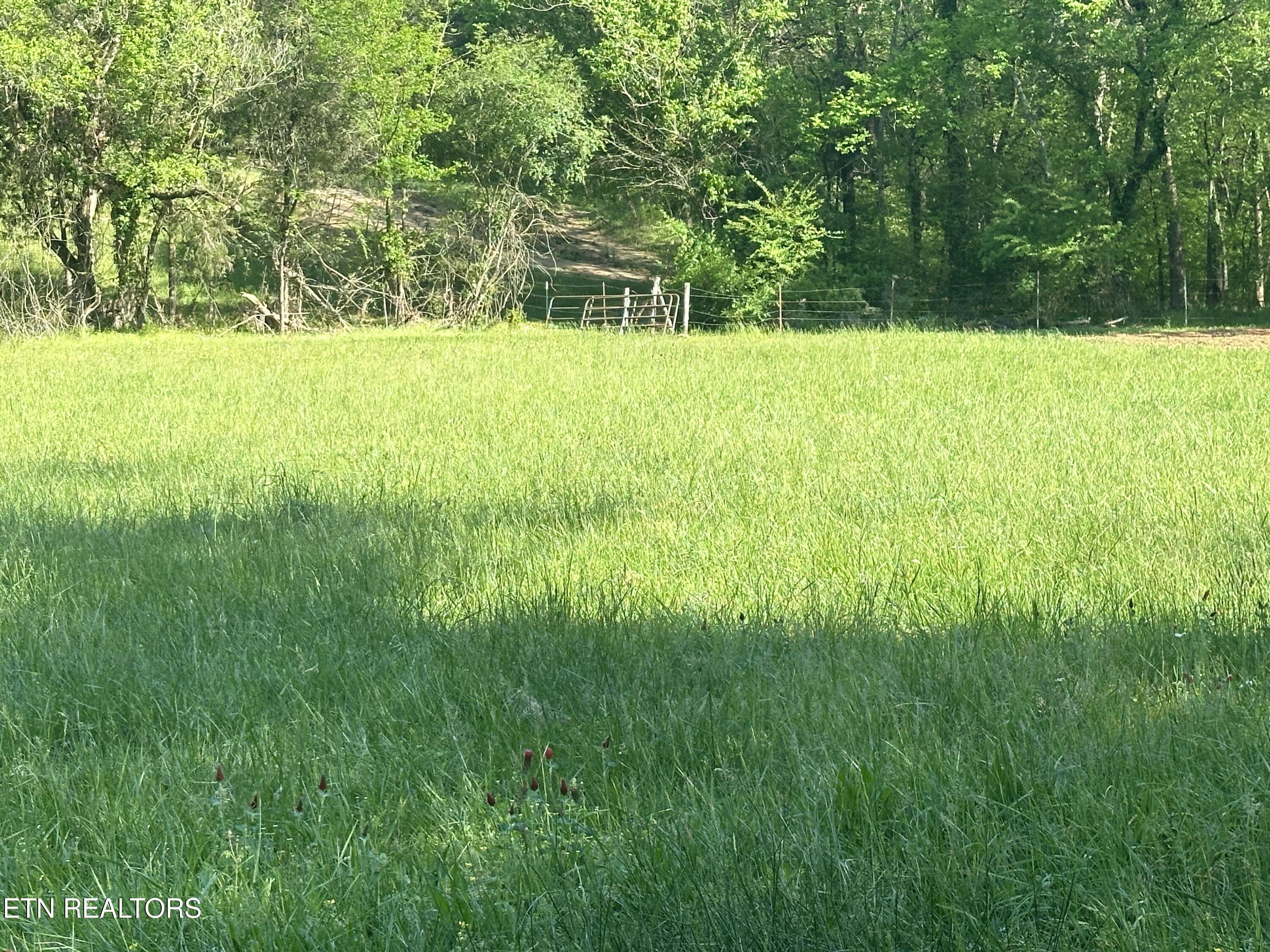 277 County Road 408 Englewood TN 37329
