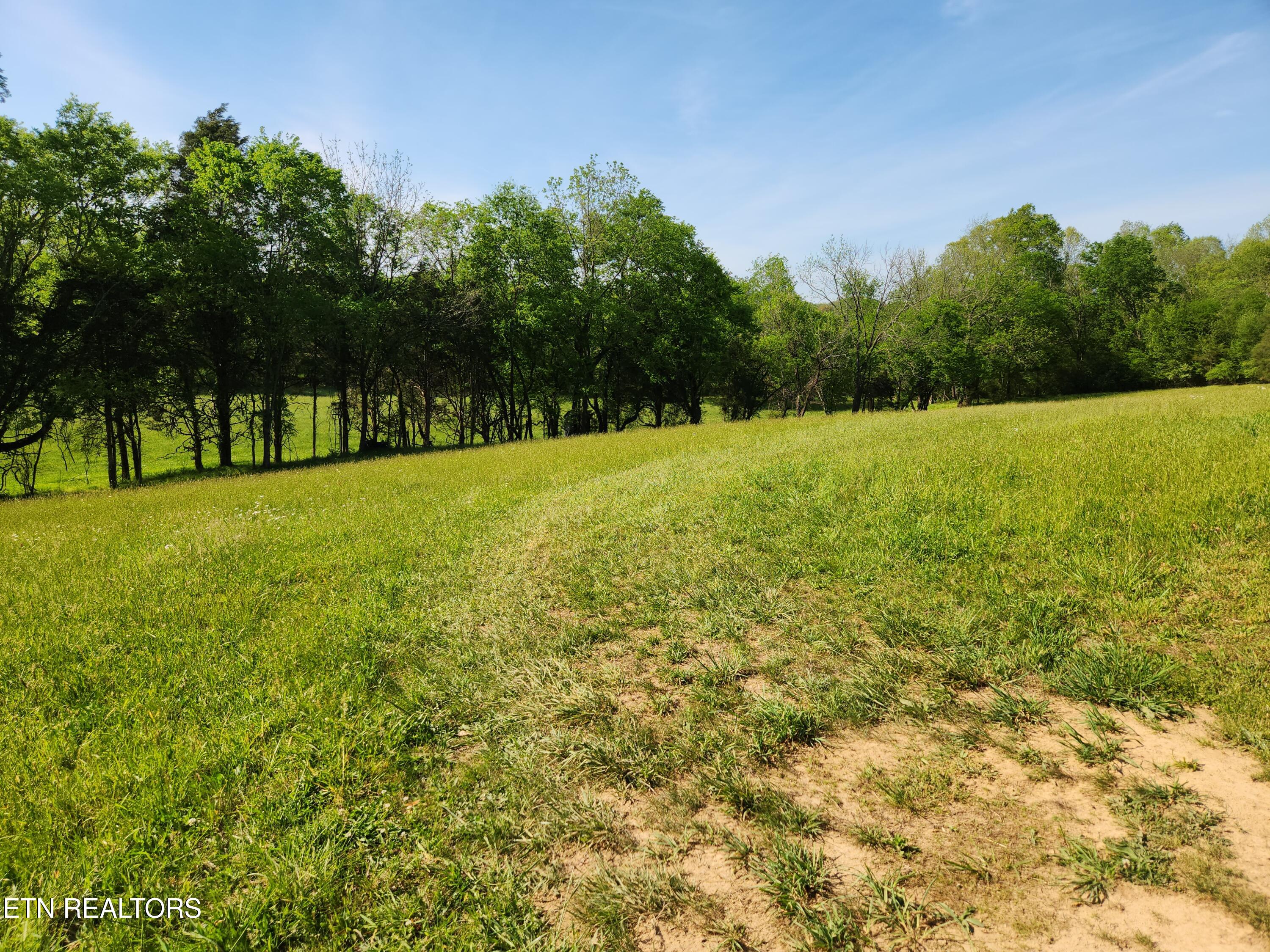 277 County Road 408 Englewood TN 37329