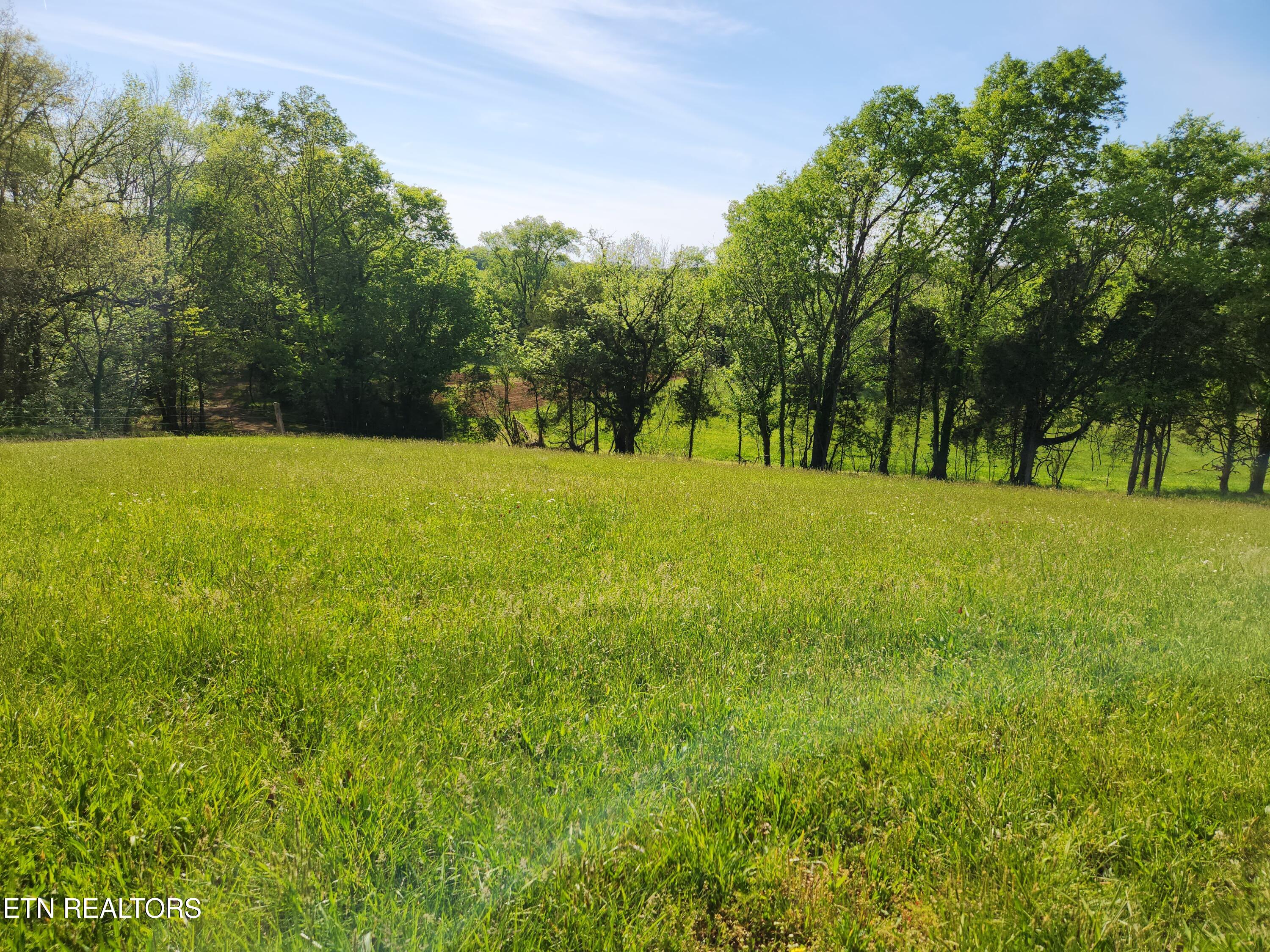 277 County Road 408 Englewood TN 37329