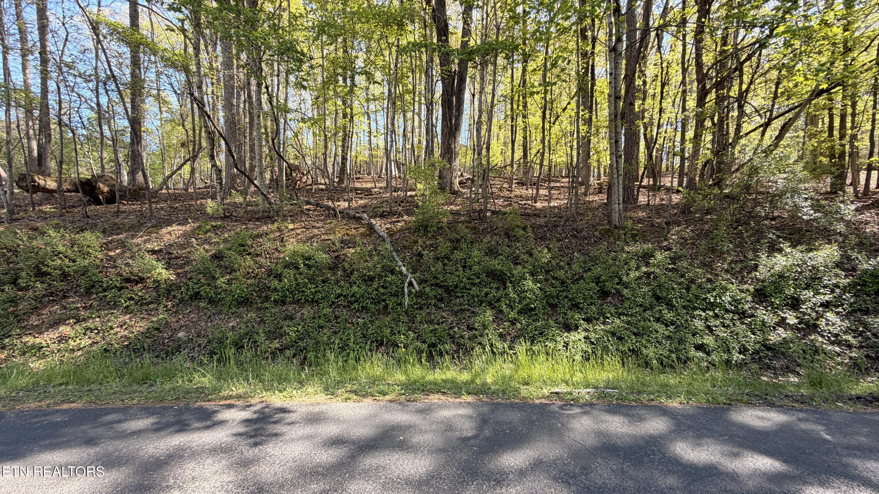 280 Ootsima Way Loudon TN 37774