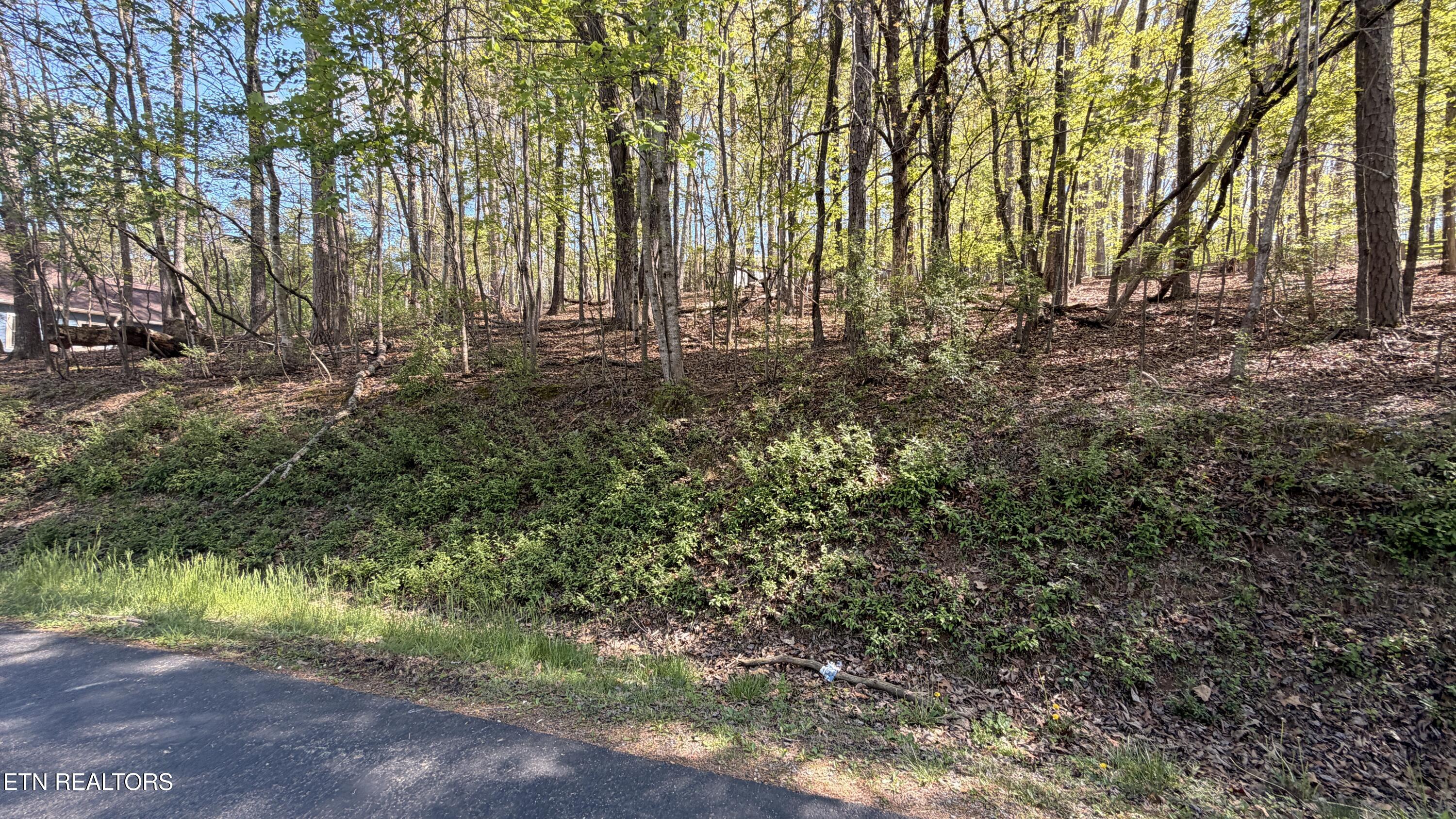 280 Ootsima Way Loudon TN 37774