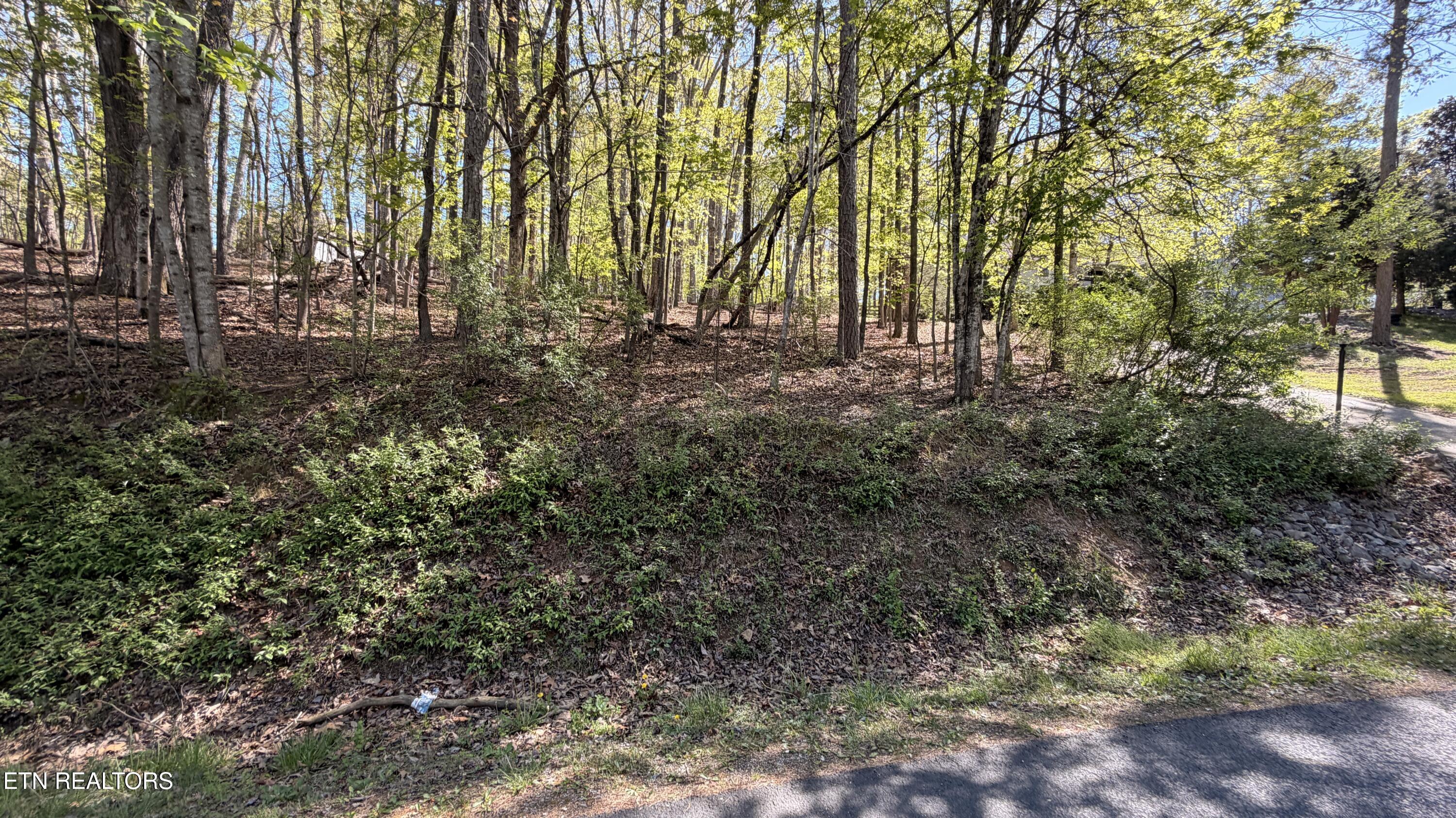 280 Ootsima Way Loudon TN 37774