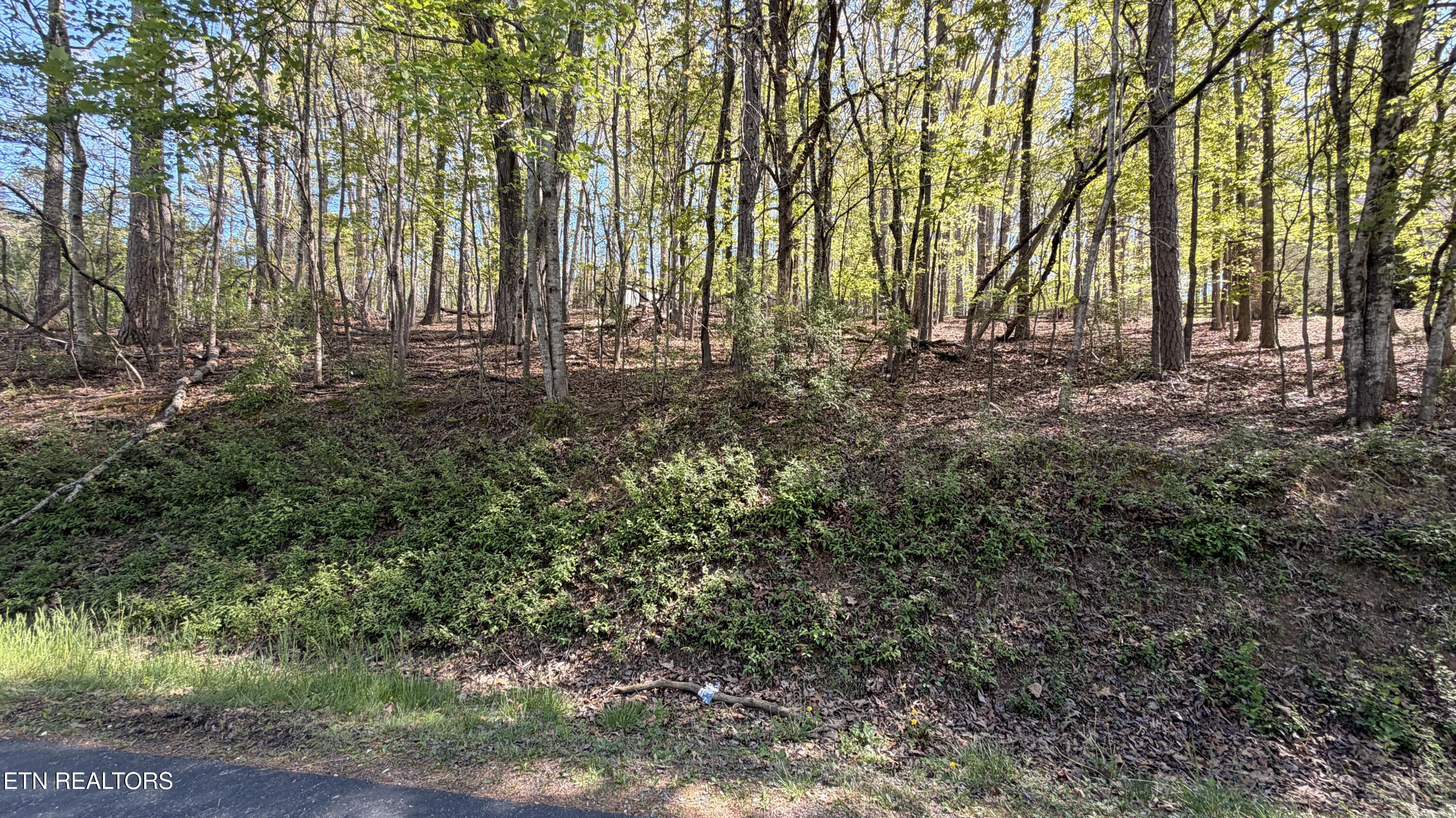 280 Ootsima Way Loudon TN 37774