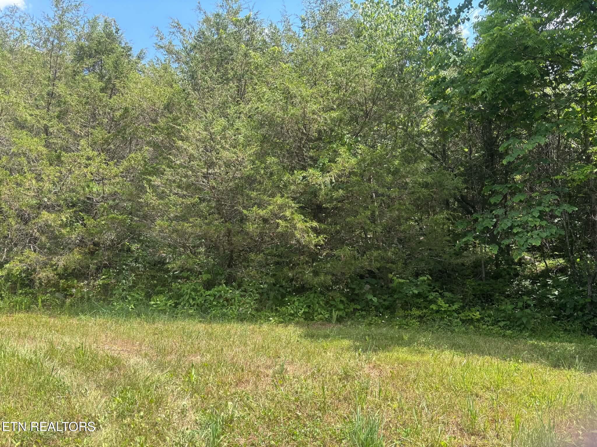 00 Mulberry Gap Road Sneedville TN 37869