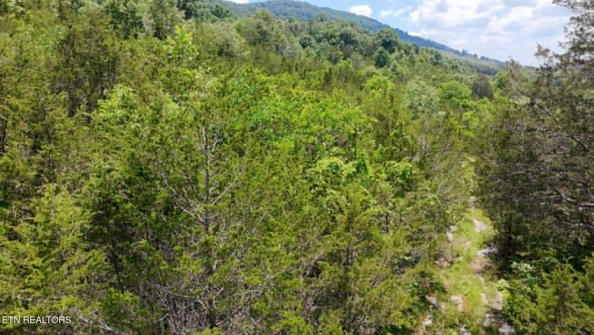 00 Mulberry Gap Road Sneedville TN 37869