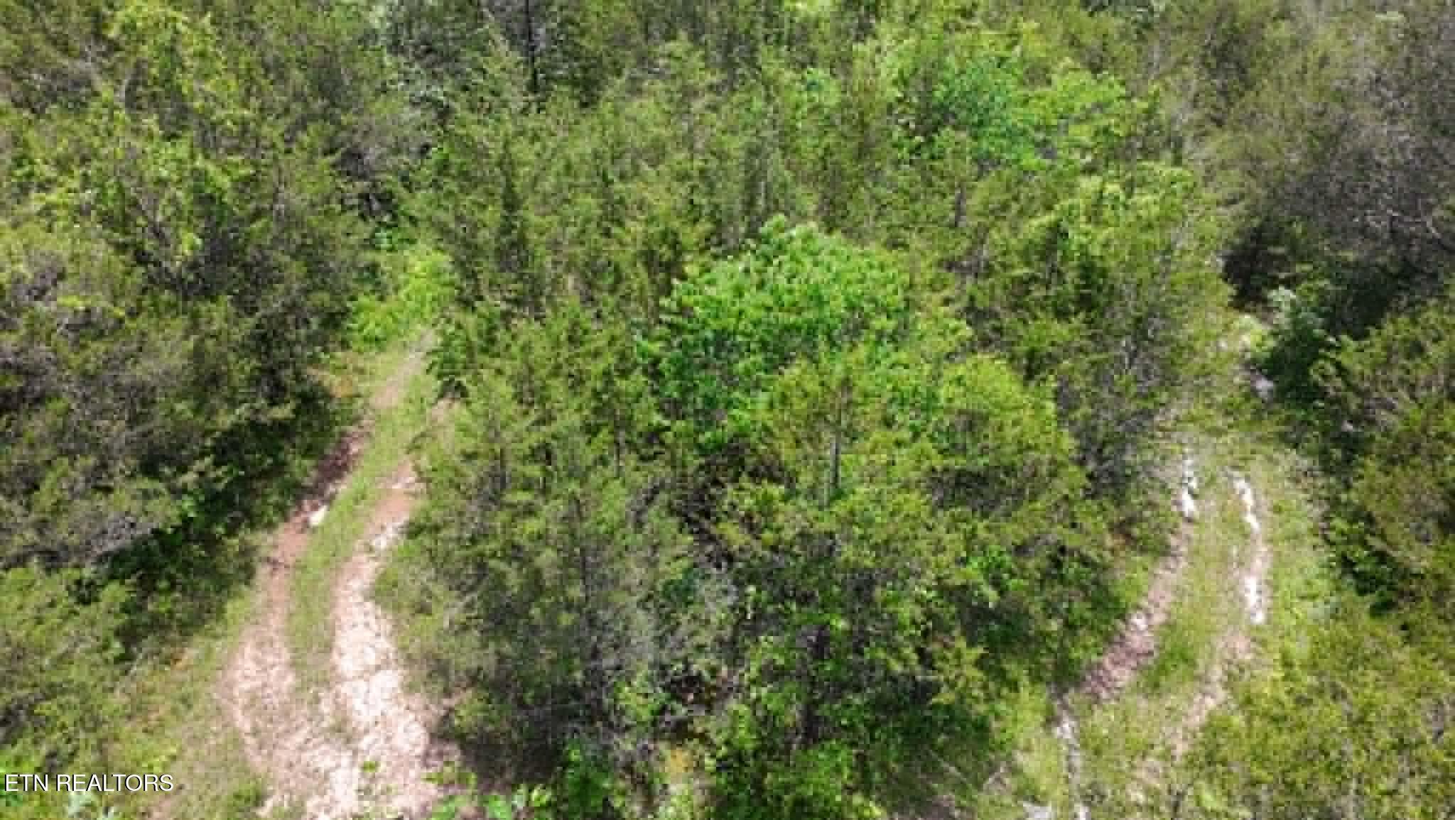 00 Mulberry Gap Road Sneedville TN 37869