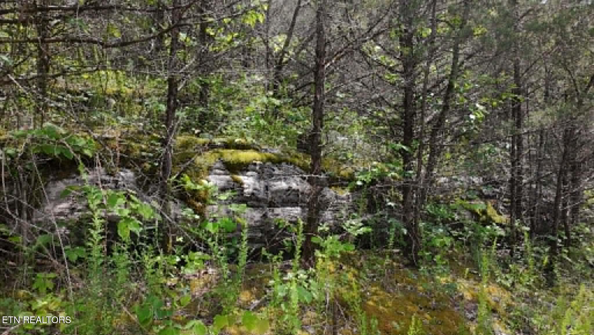 00 Mulberry Gap Road Sneedville TN 37869