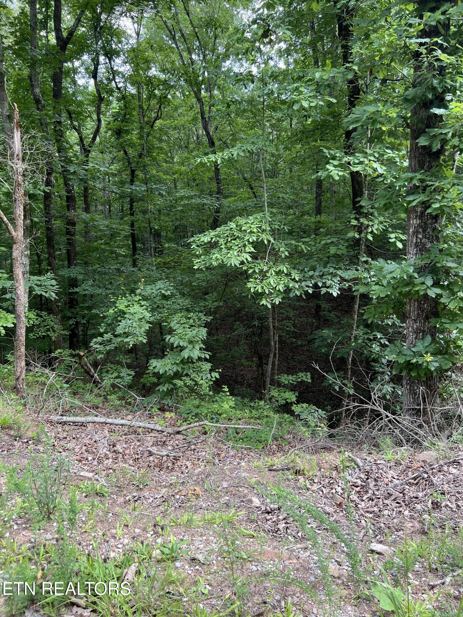 Three Point Road Vonore TN 37885