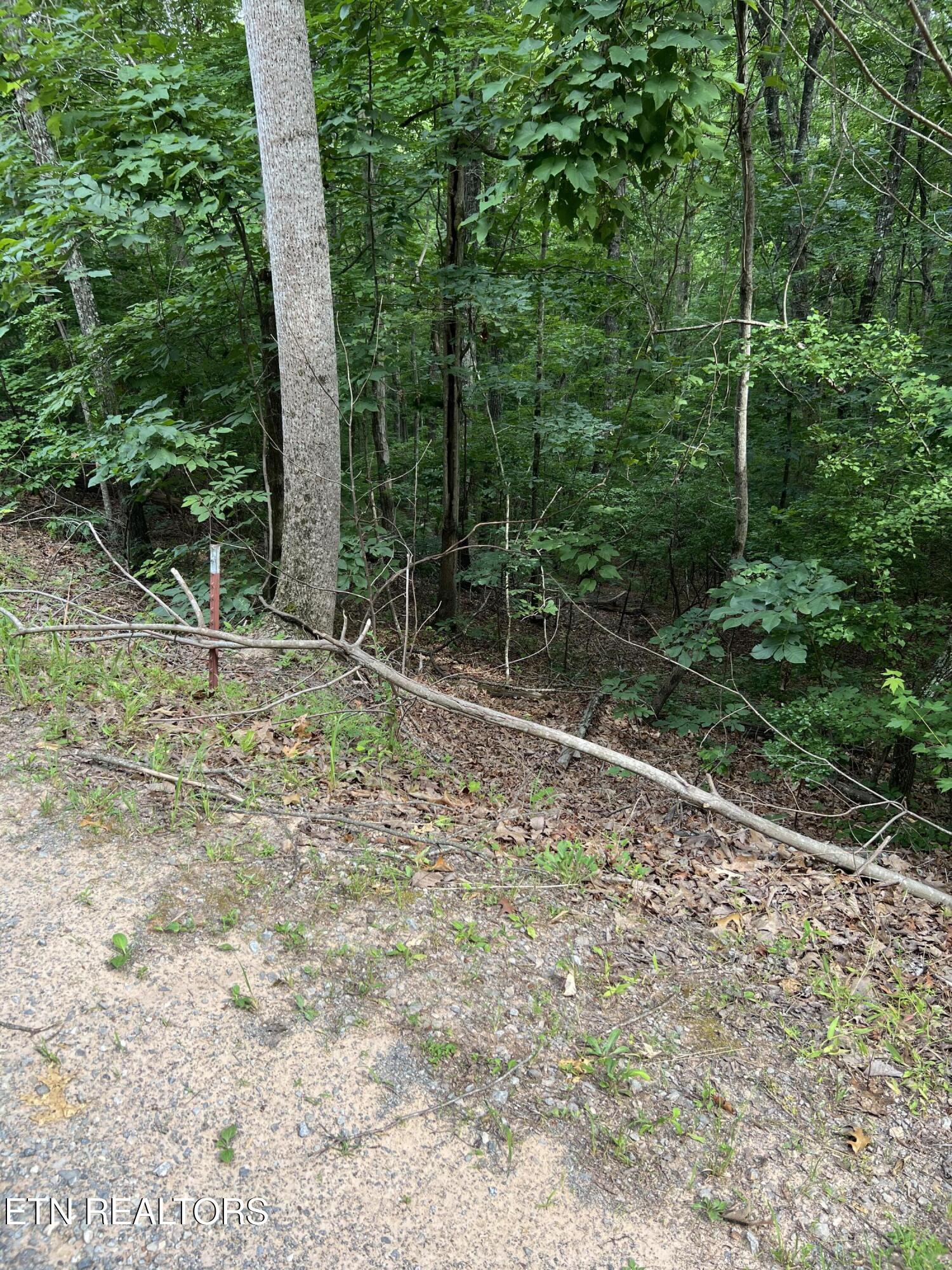 Three Point Road Vonore TN 37885