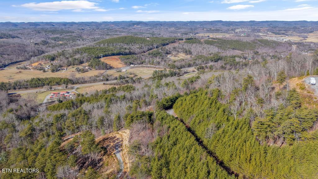 117 Indian Ridge Drive Tellico Plains TN 37385