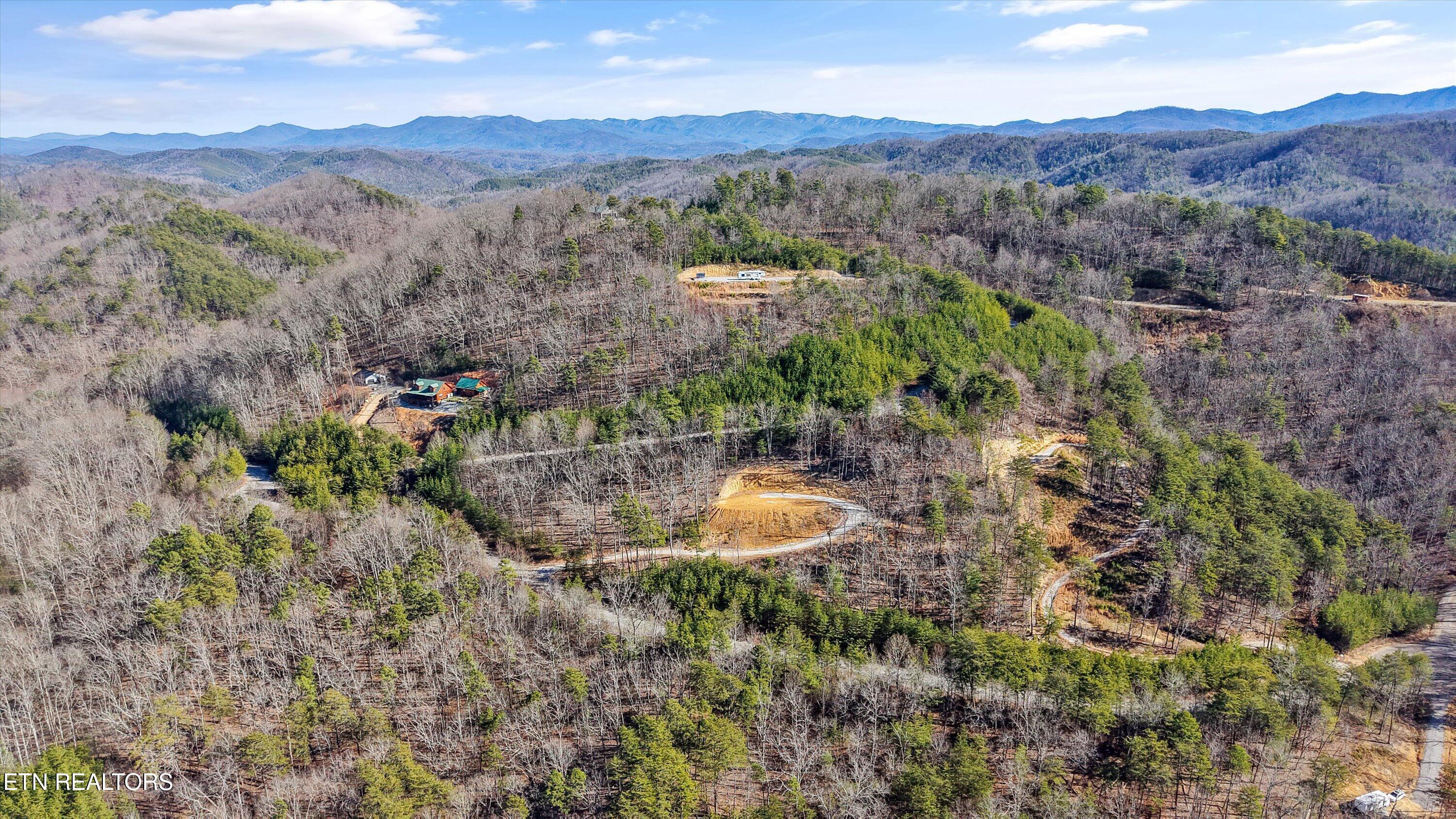 117 Indian Ridge Drive Tellico Plains TN 37385