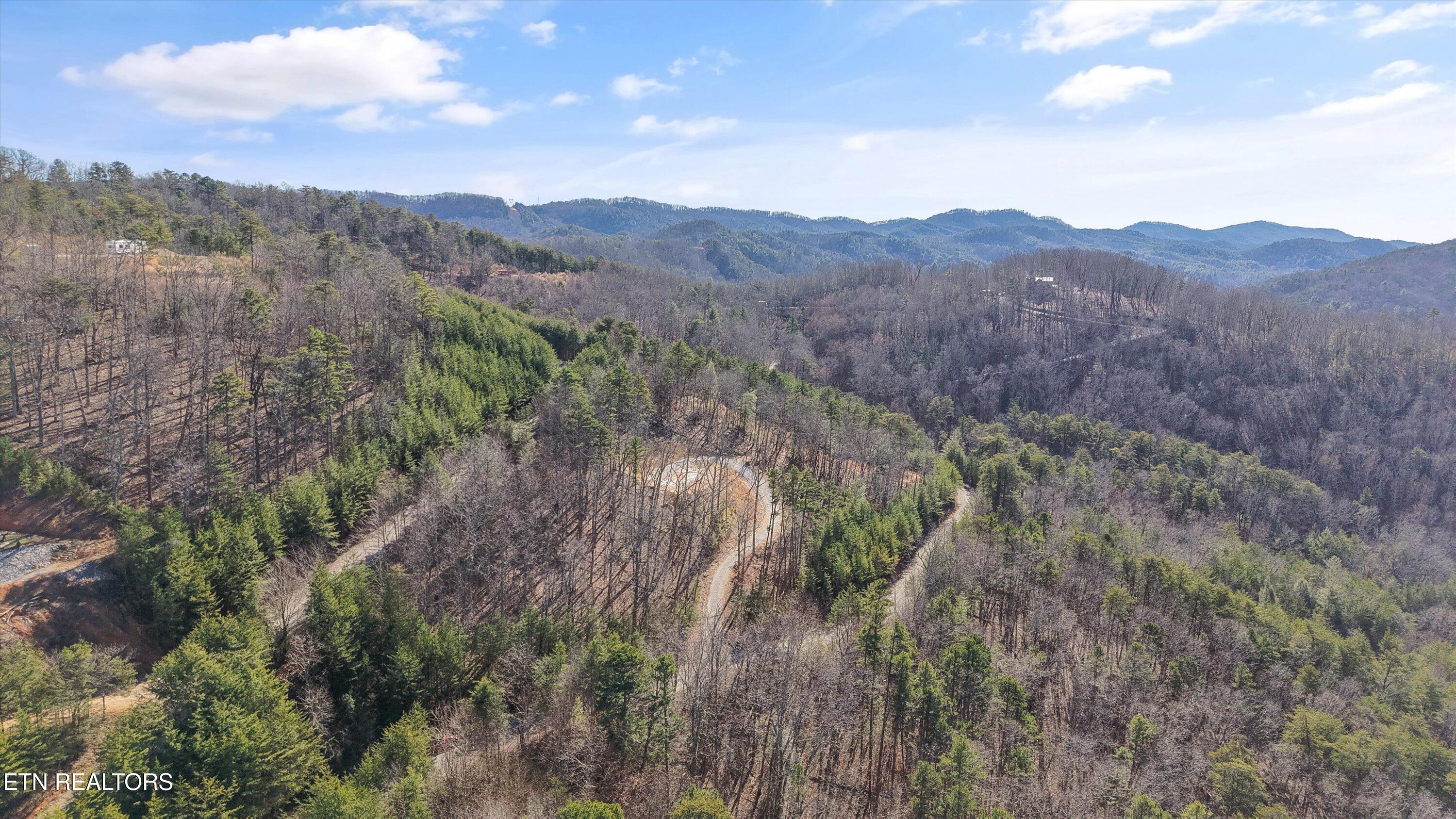 117 Indian Ridge Drive Tellico Plains TN 37385