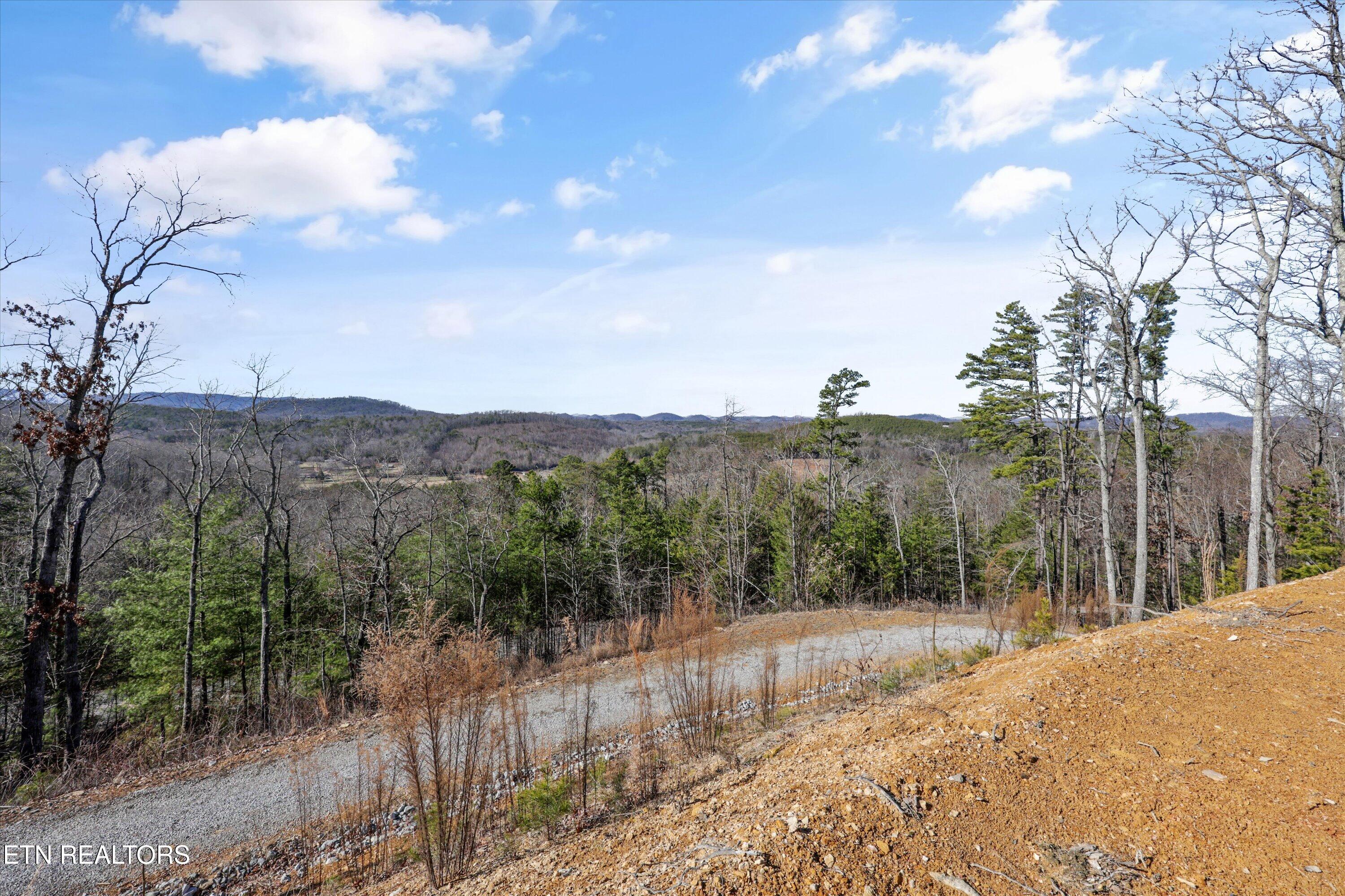 117 Indian Ridge Drive Tellico Plains TN 37385