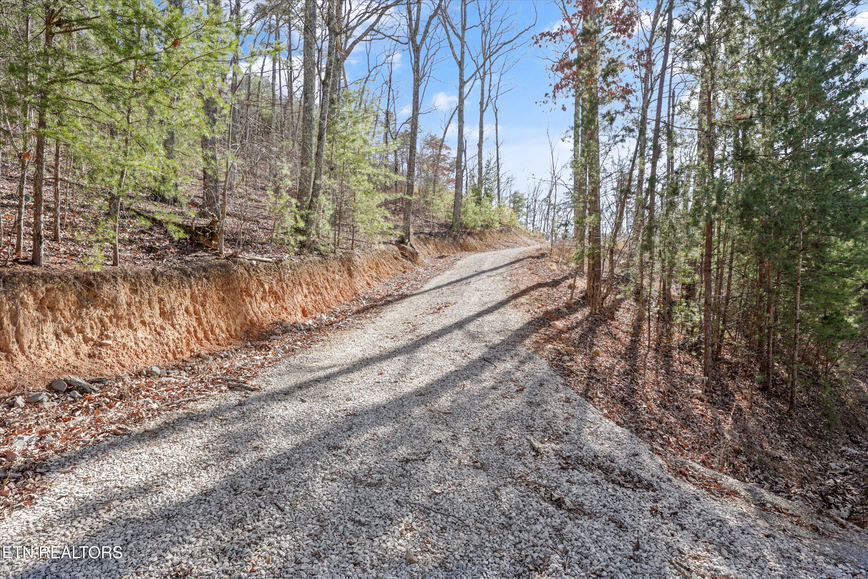 117 Indian Ridge Drive Tellico Plains TN 37385