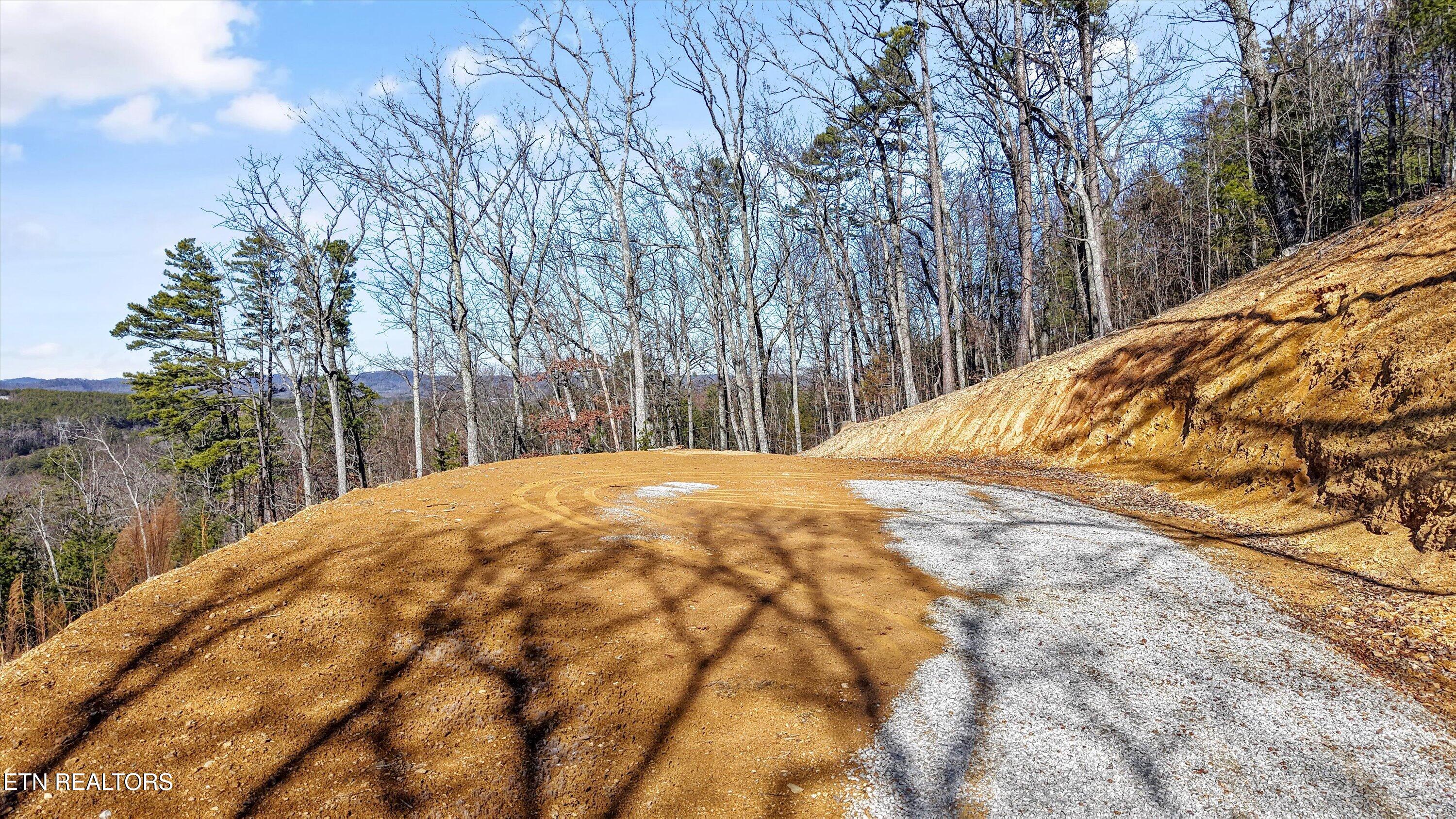 117 Indian Ridge Drive Tellico Plains TN 37385