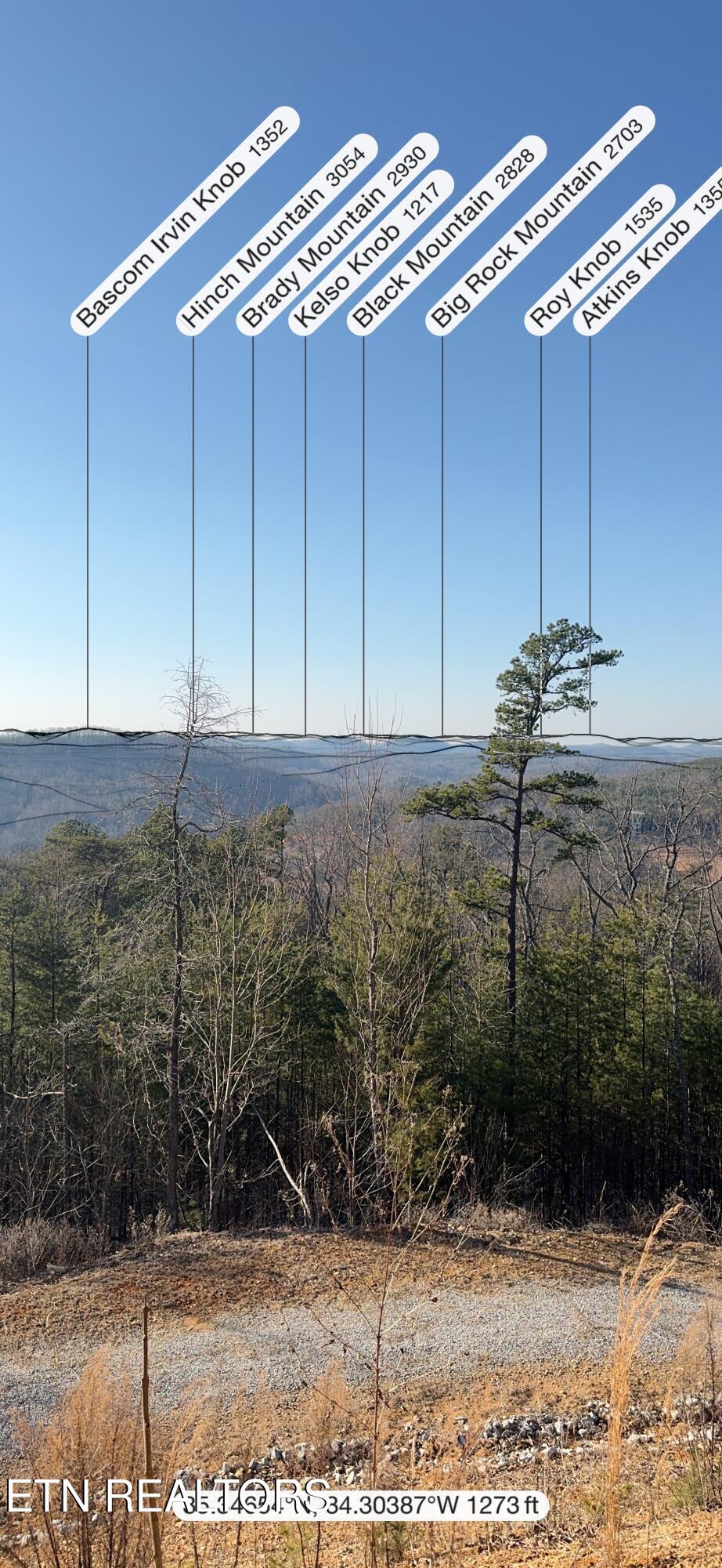 117 Indian Ridge Drive Tellico Plains TN 37385