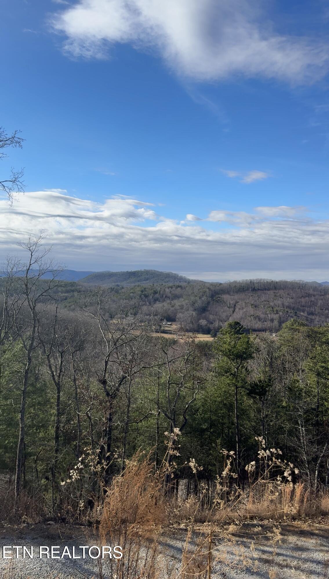 117 Indian Ridge Drive Tellico Plains TN 37385
