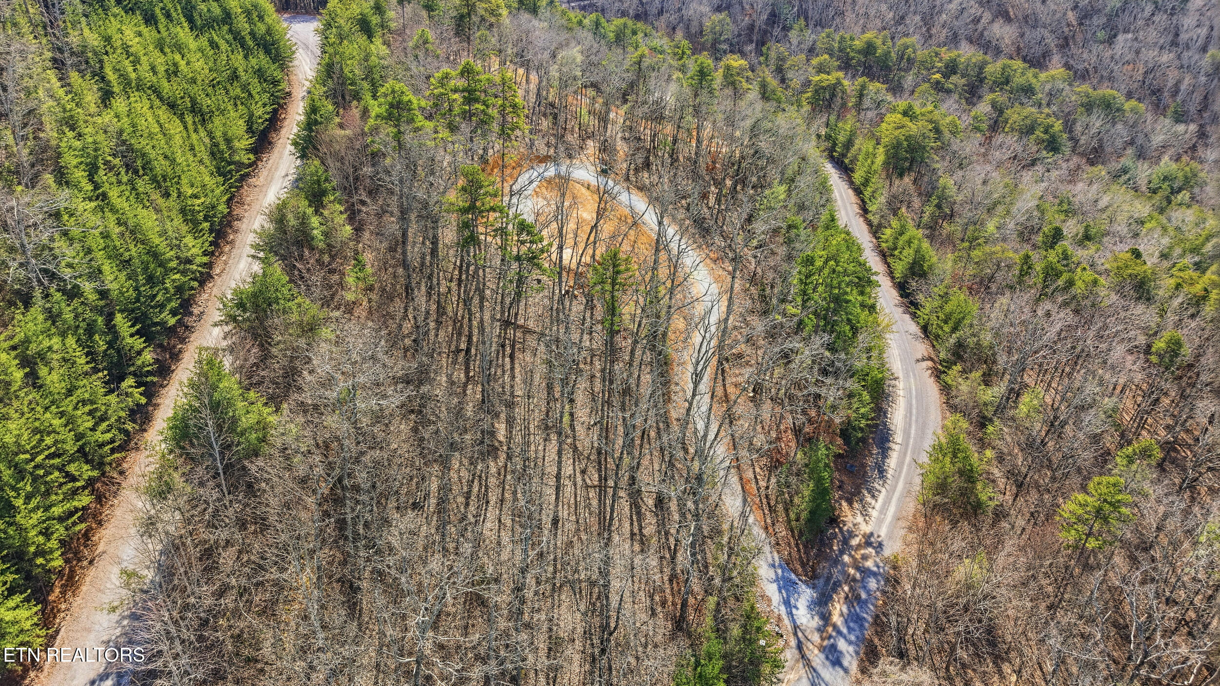 117 Indian Ridge Drive Tellico Plains TN 37385