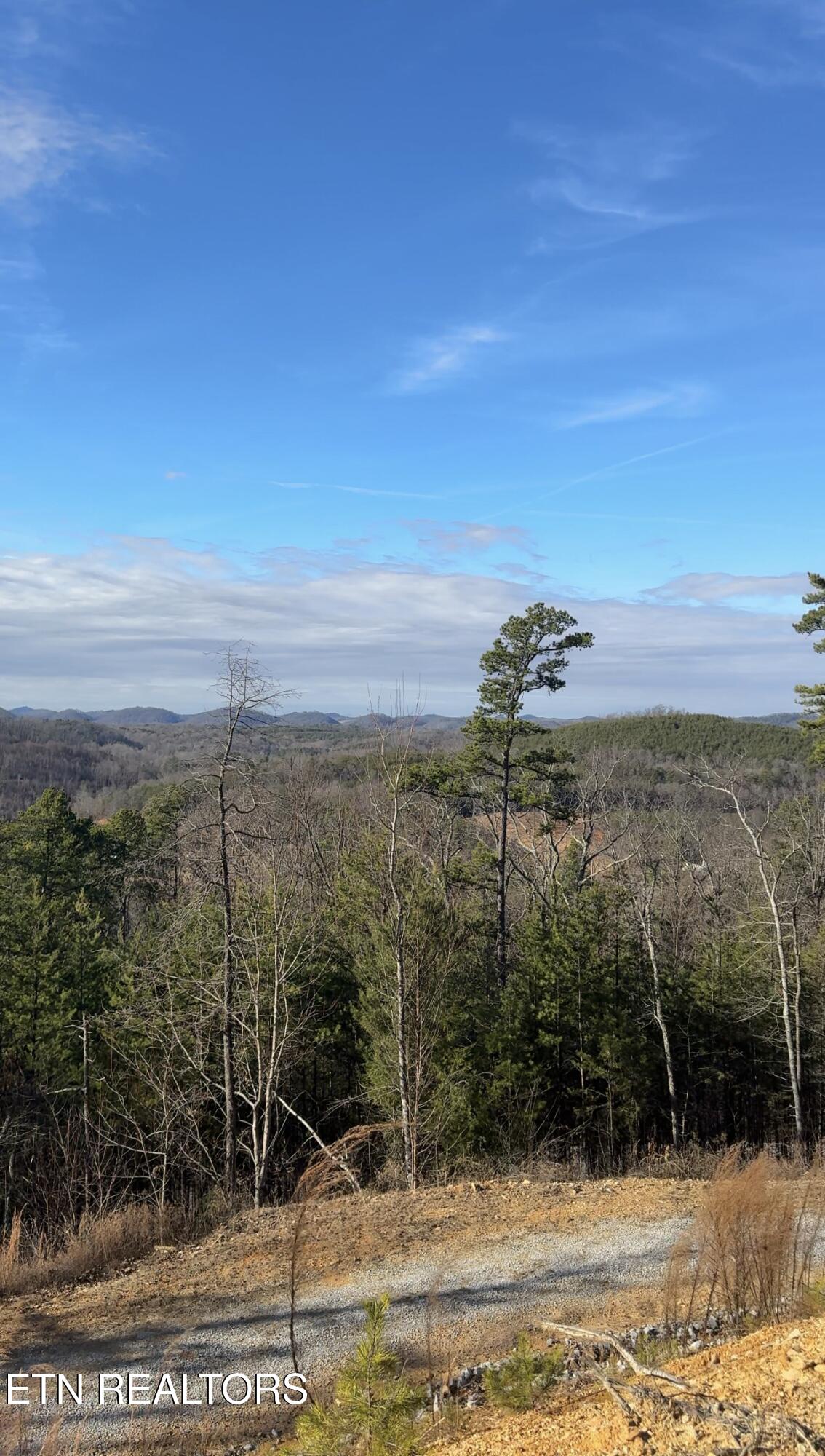 117 Indian Ridge Drive Tellico Plains TN 37385