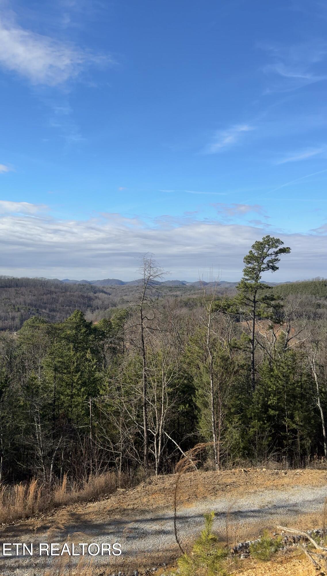 117 Indian Ridge Drive Tellico Plains TN 37385