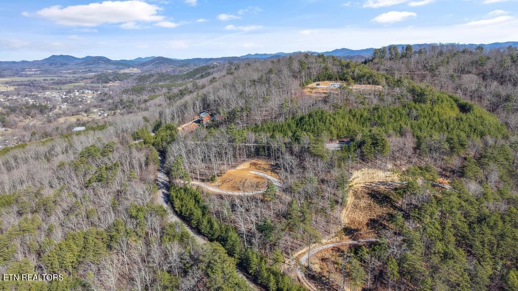 117 Indian Ridge Drive Tellico Plains TN 37385