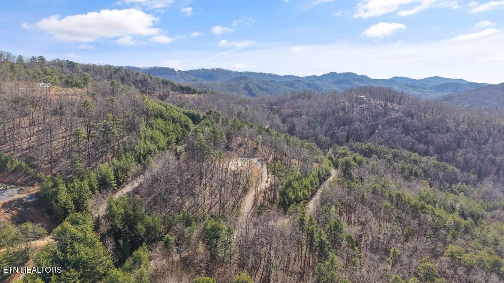 117 Indian Ridge Drive Tellico Plains TN 37385