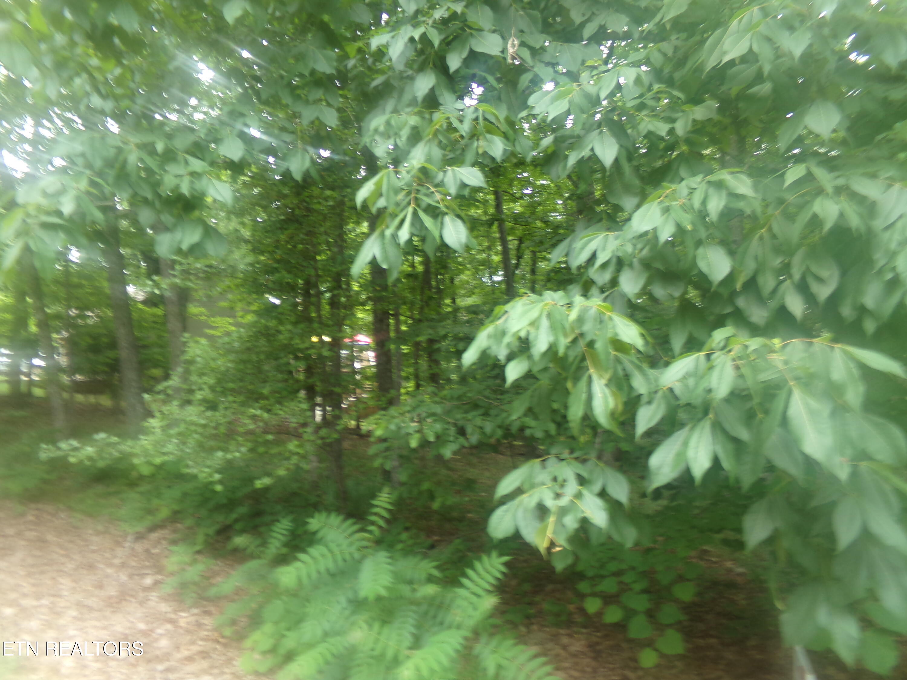 239 Amherst Lane Crossville TN 38558