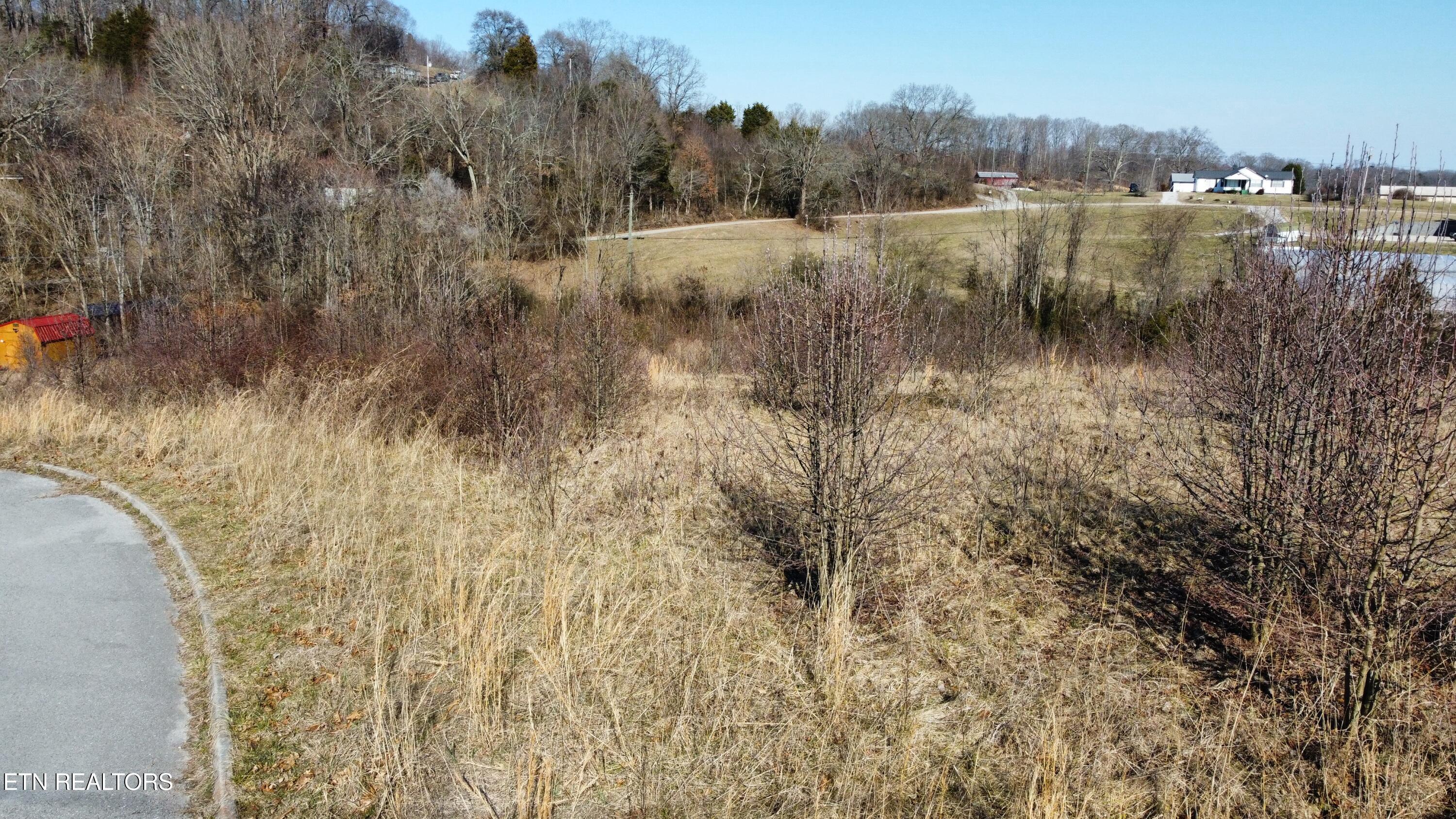 Lot 8 Waterway Drive Rutledge TN 37861