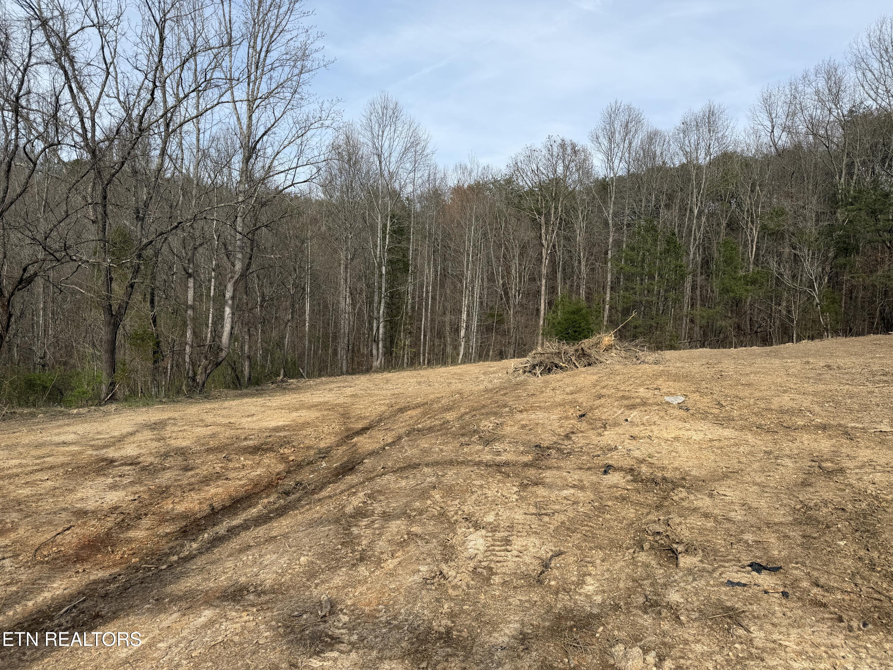 0 Turner Road Andersonville TN 37705