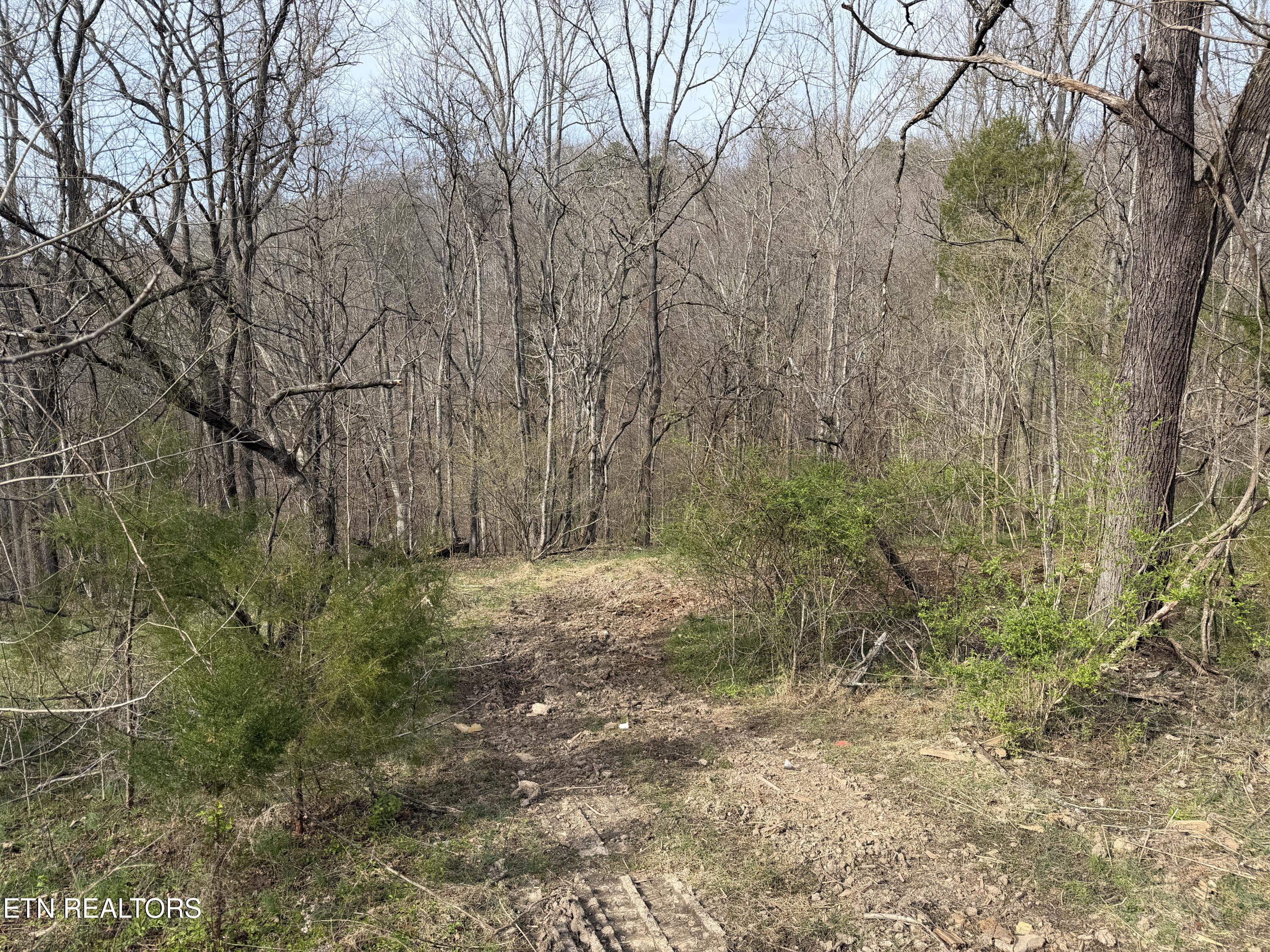 0 Turner Road Andersonville TN 37705