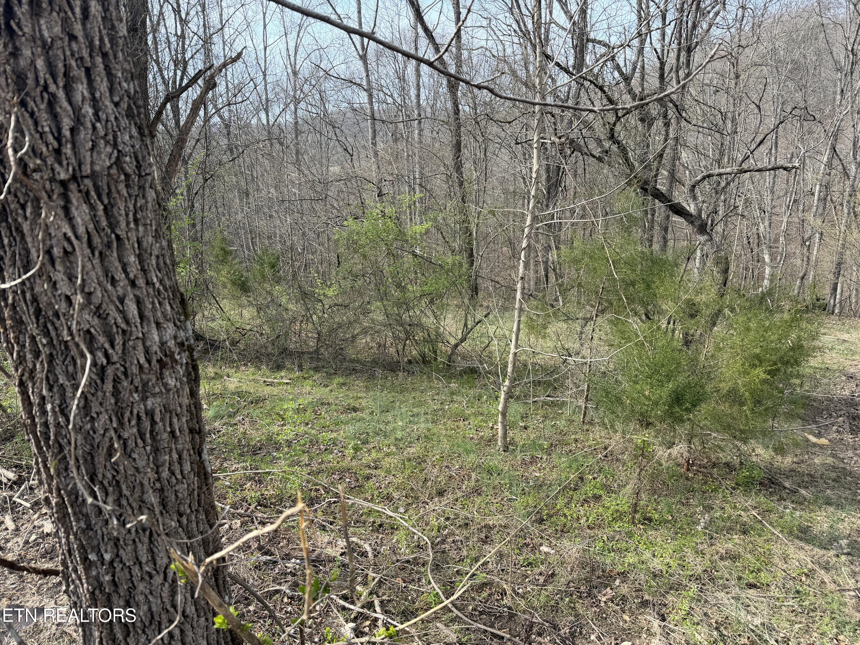 0 Turner Road Andersonville TN 37705