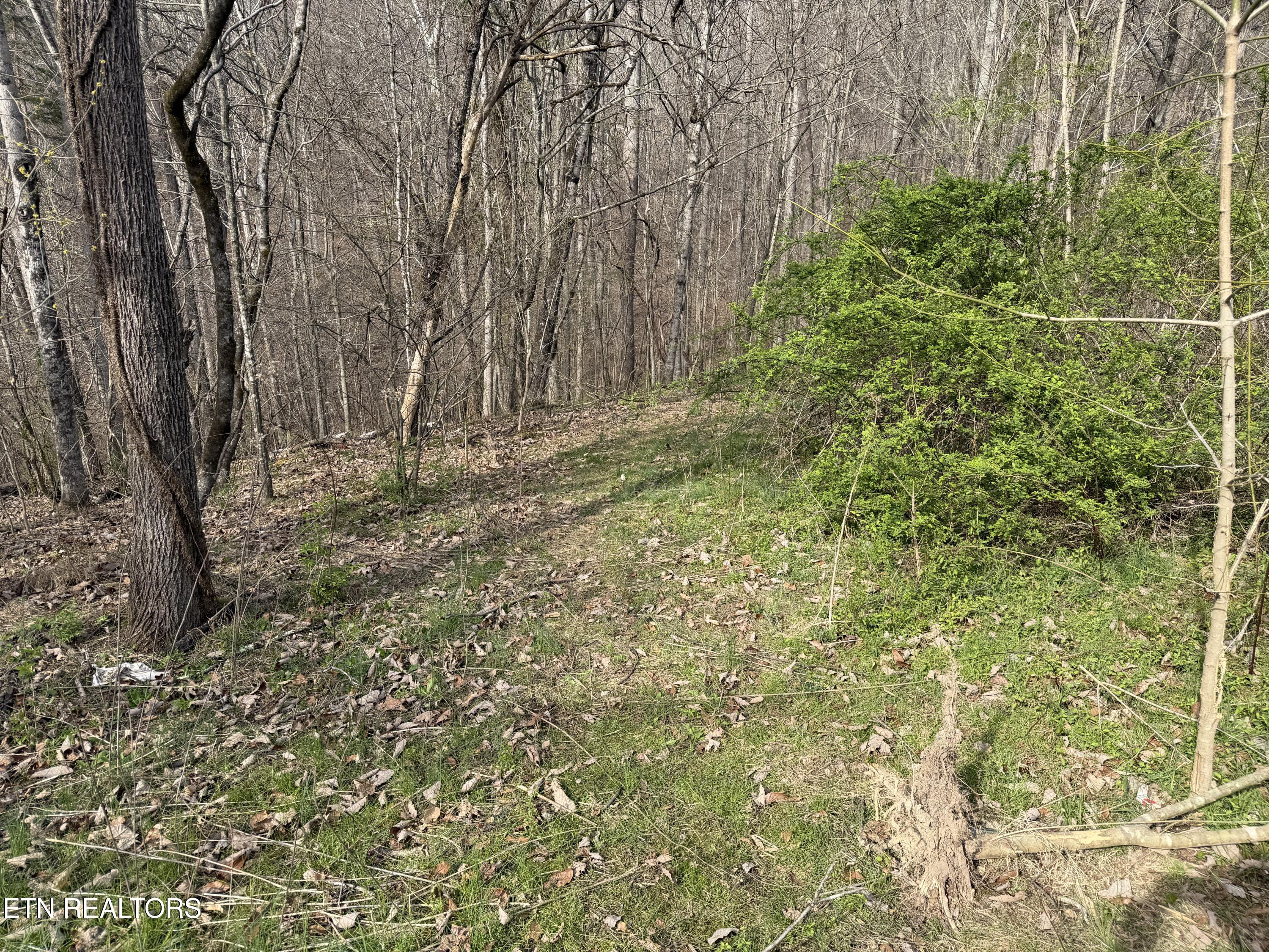 0 Turner Road Andersonville TN 37705