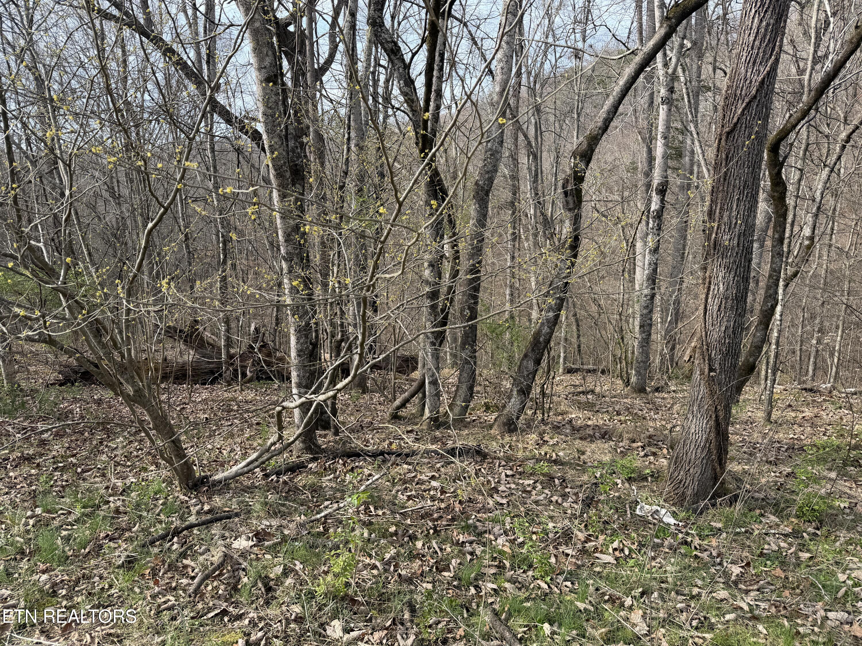 0 Turner Road Andersonville TN 37705