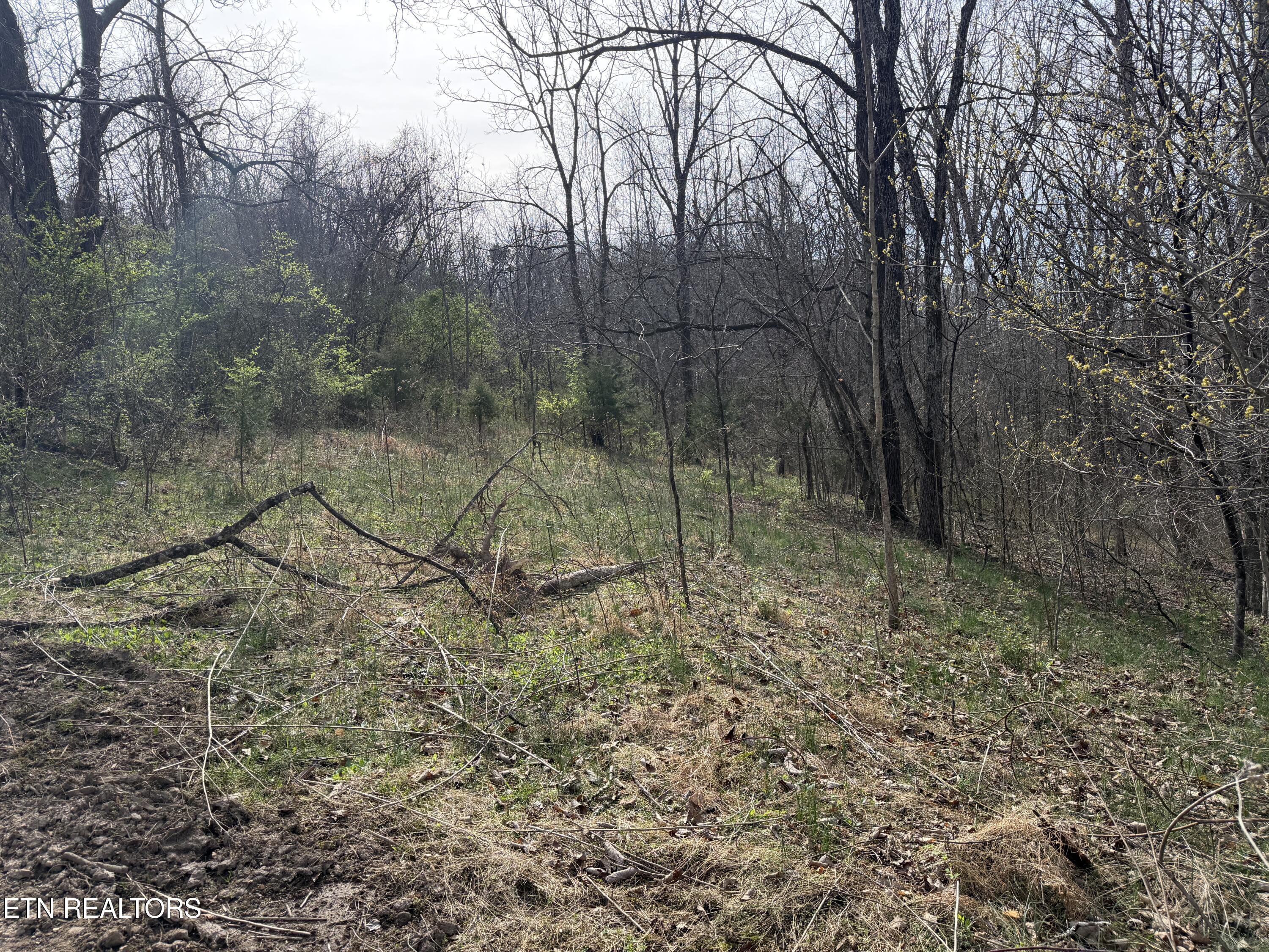 0 Turner Road Andersonville TN 37705