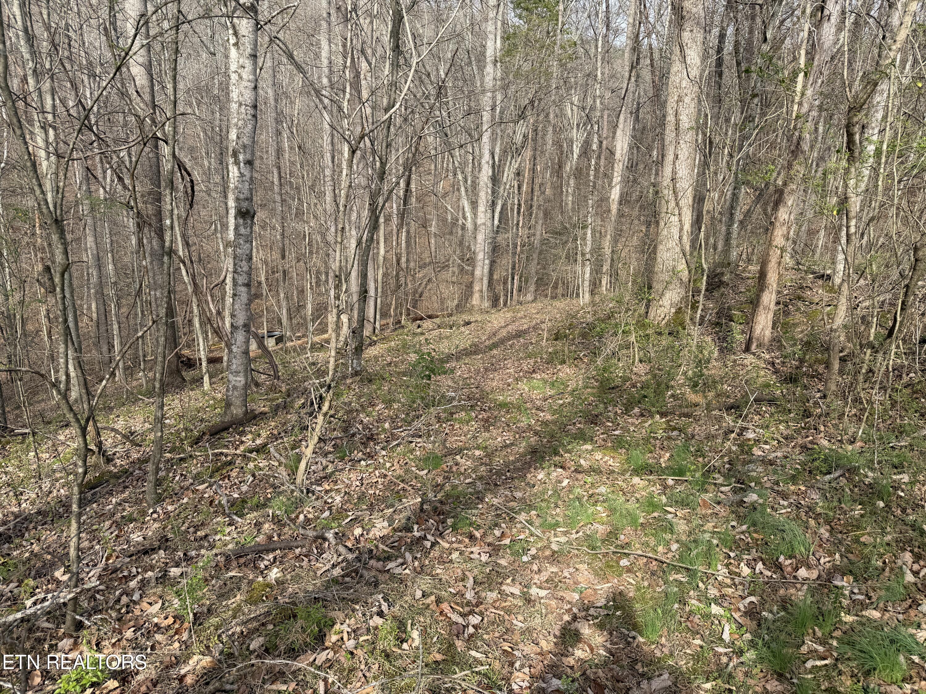 0 Turner Road Andersonville TN 37705