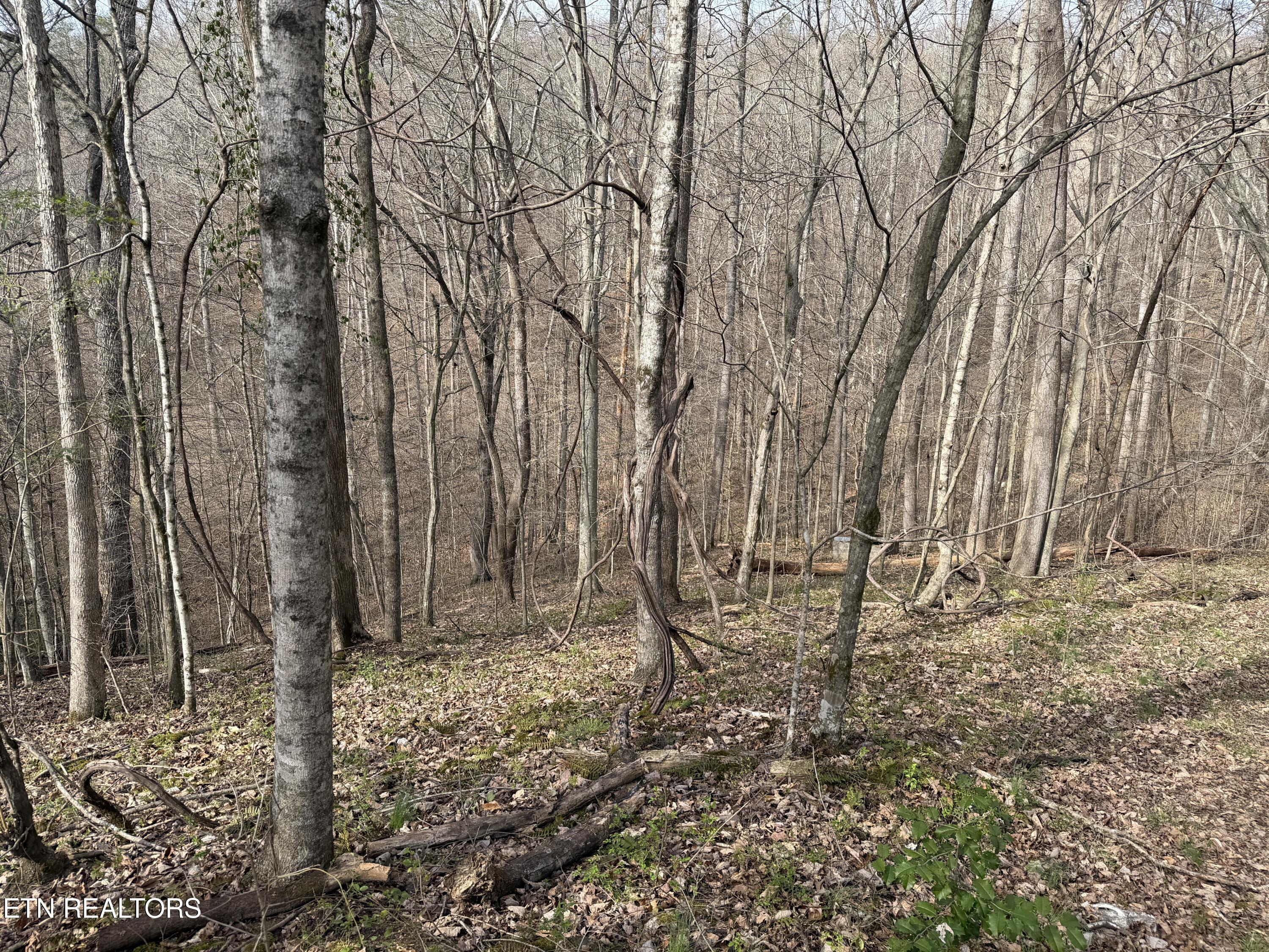 0 Turner Road Andersonville TN 37705