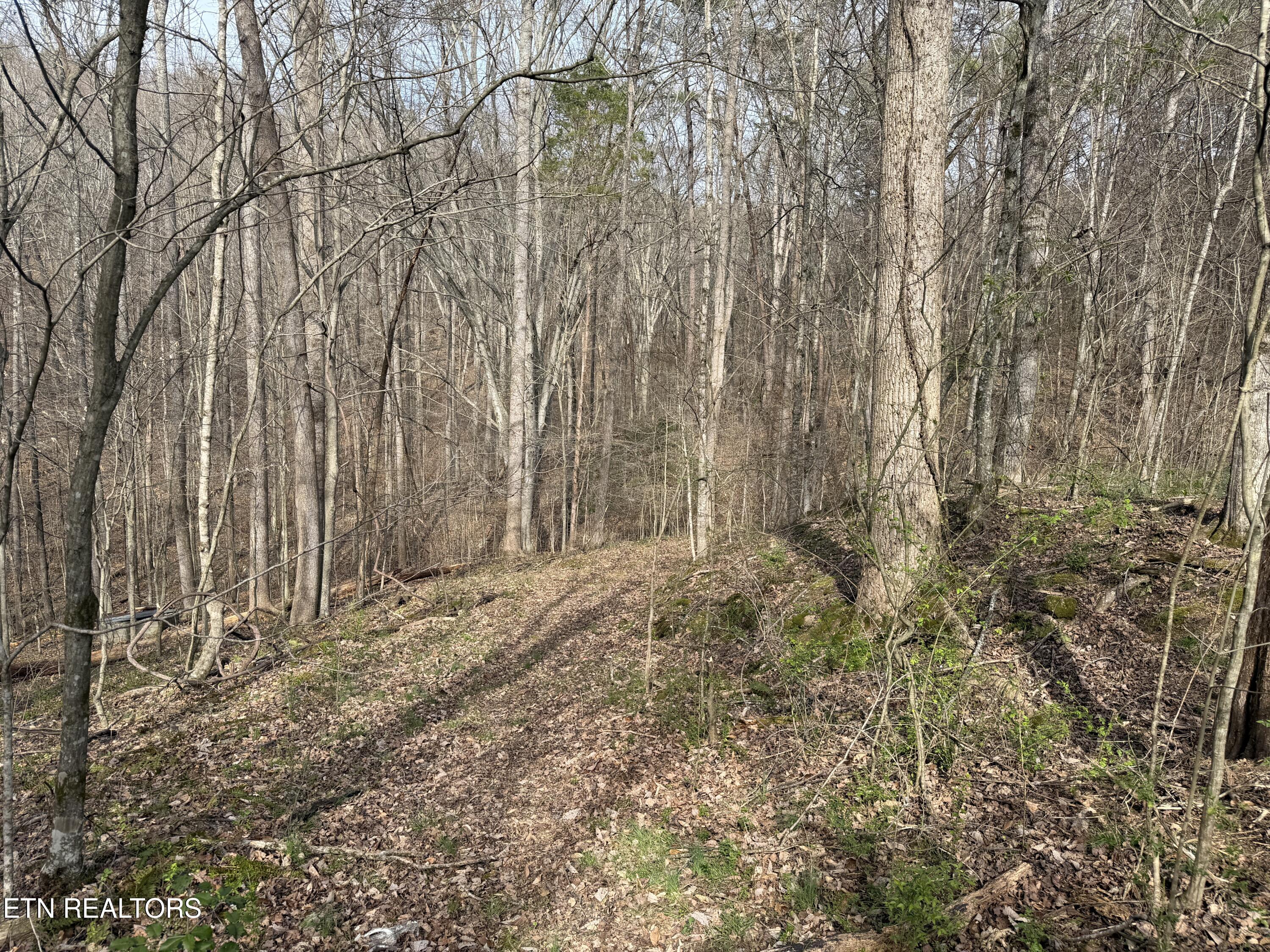 0 Turner Road Andersonville TN 37705