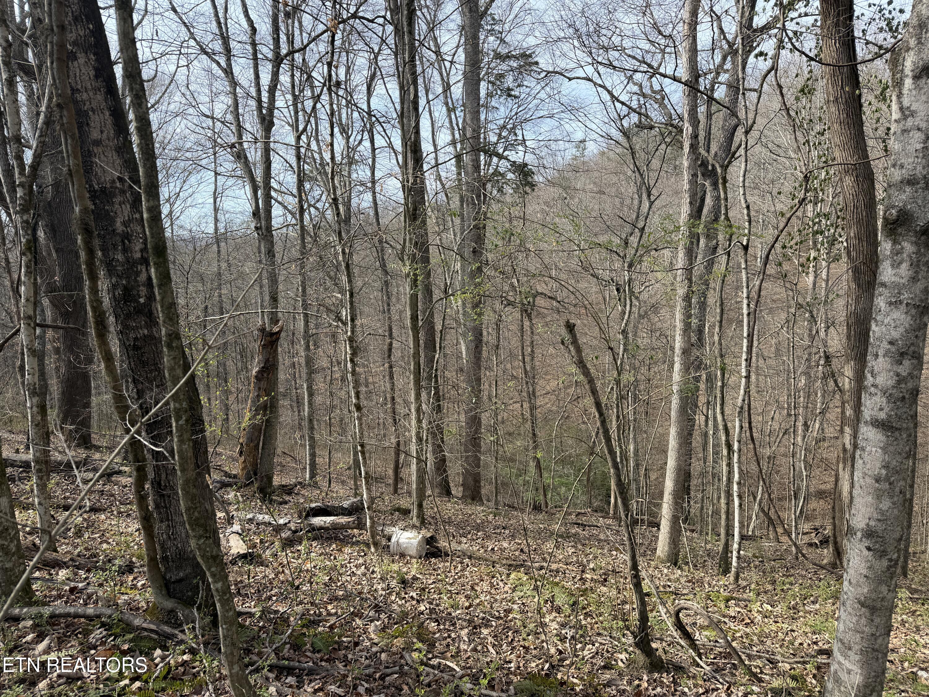 0 Turner Road Andersonville TN 37705