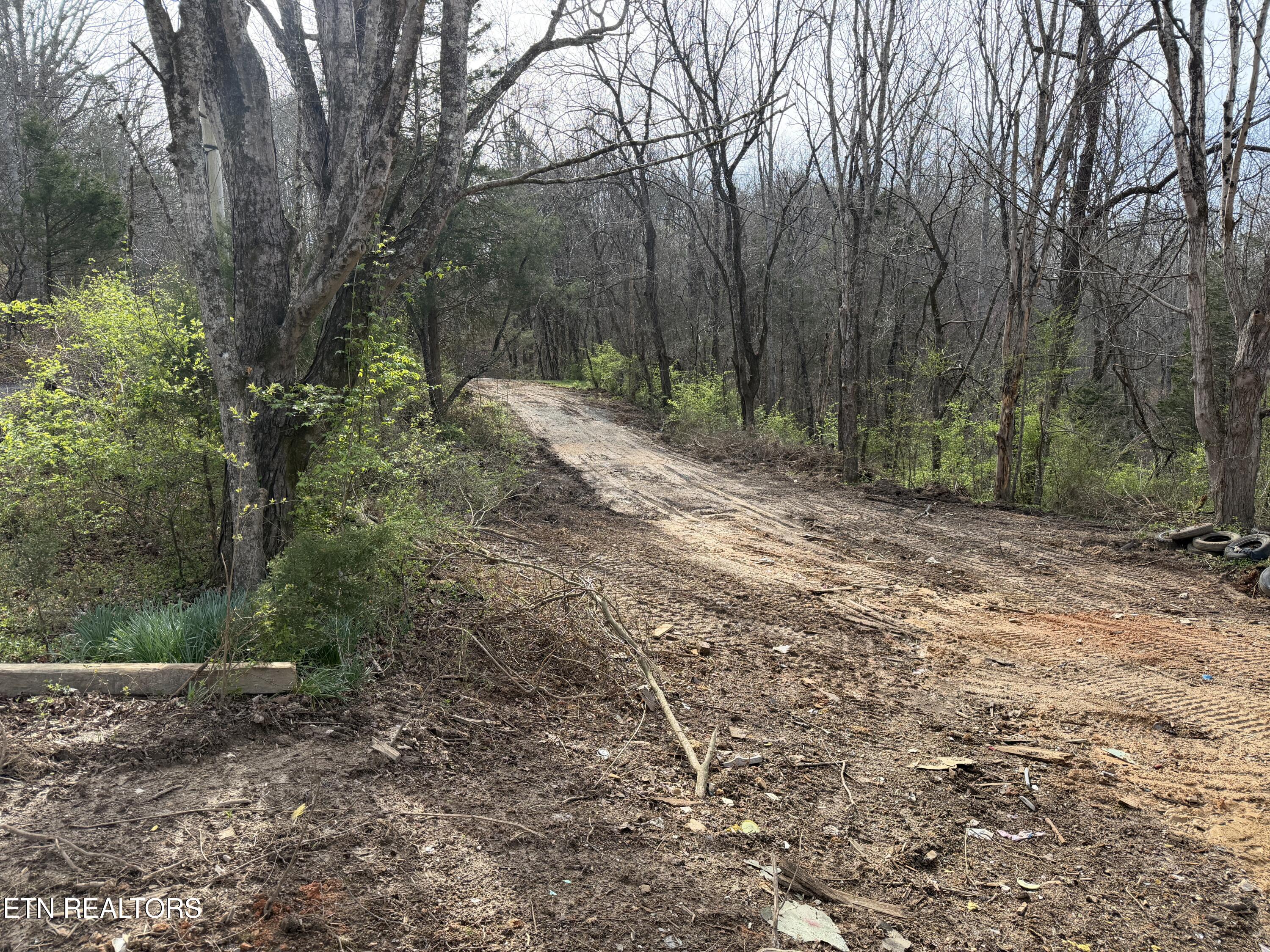 0 Turner Road Andersonville TN 37705