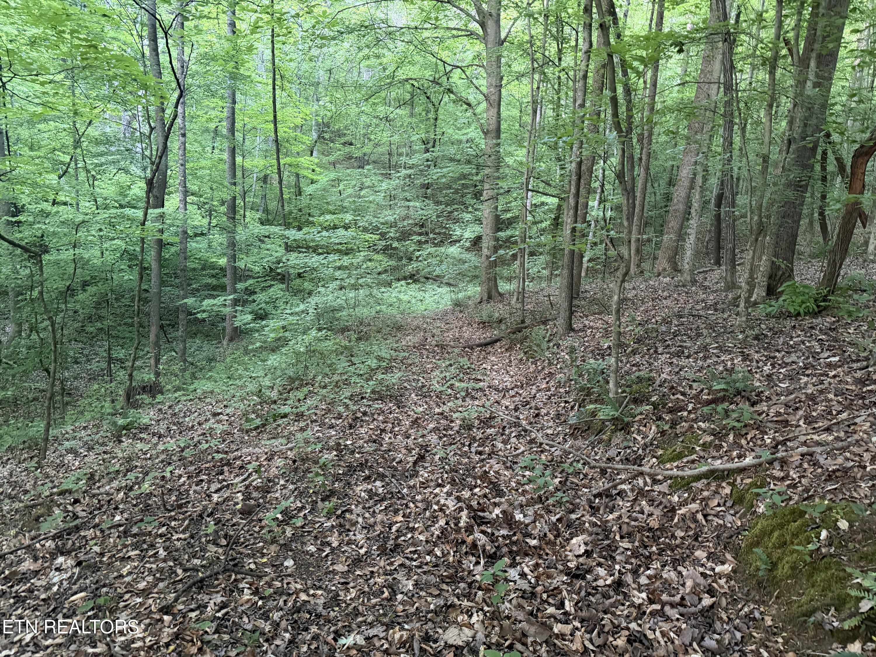0 Turner Road Andersonville TN 37705