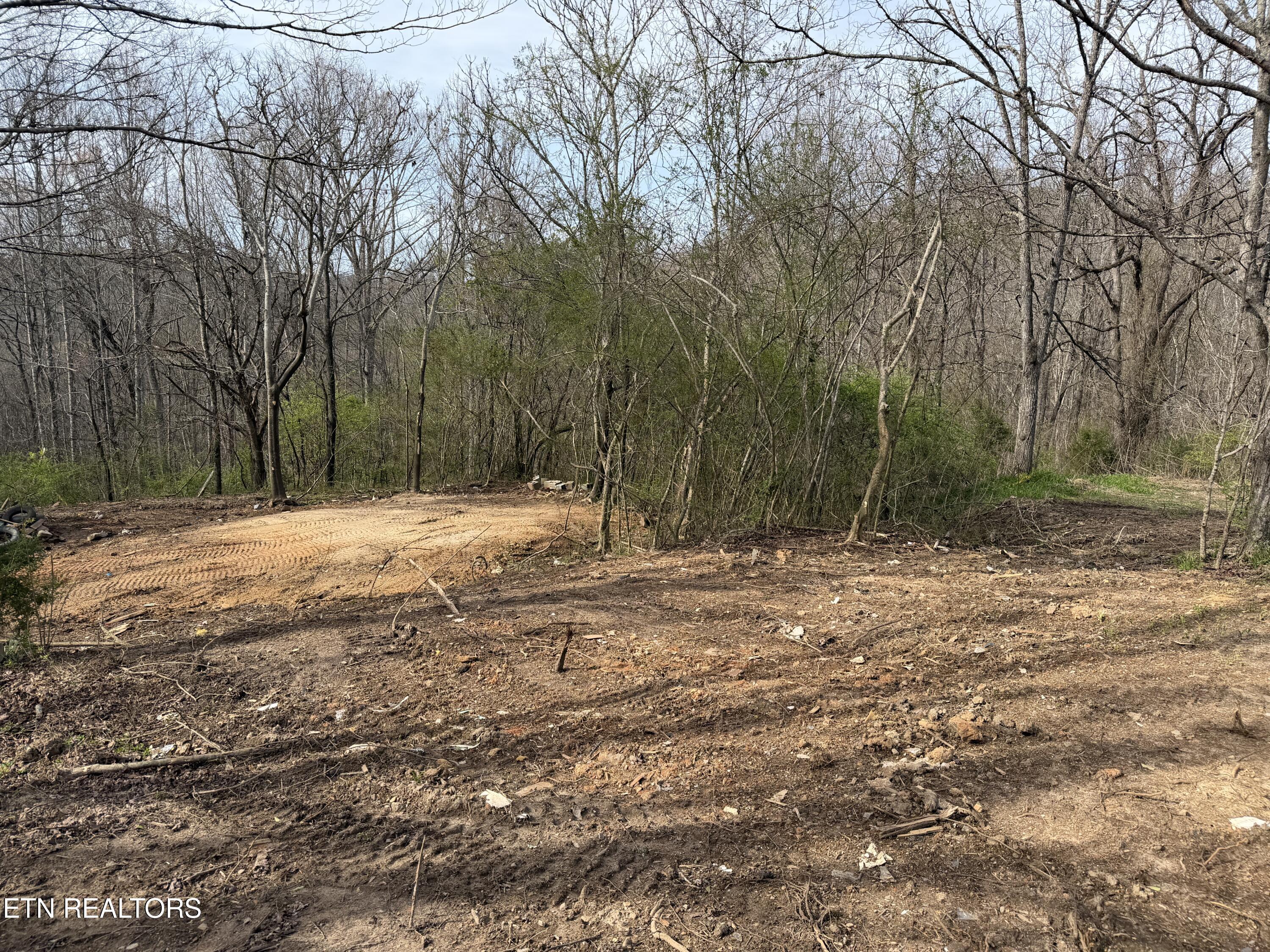 0 Turner Road Andersonville TN 37705