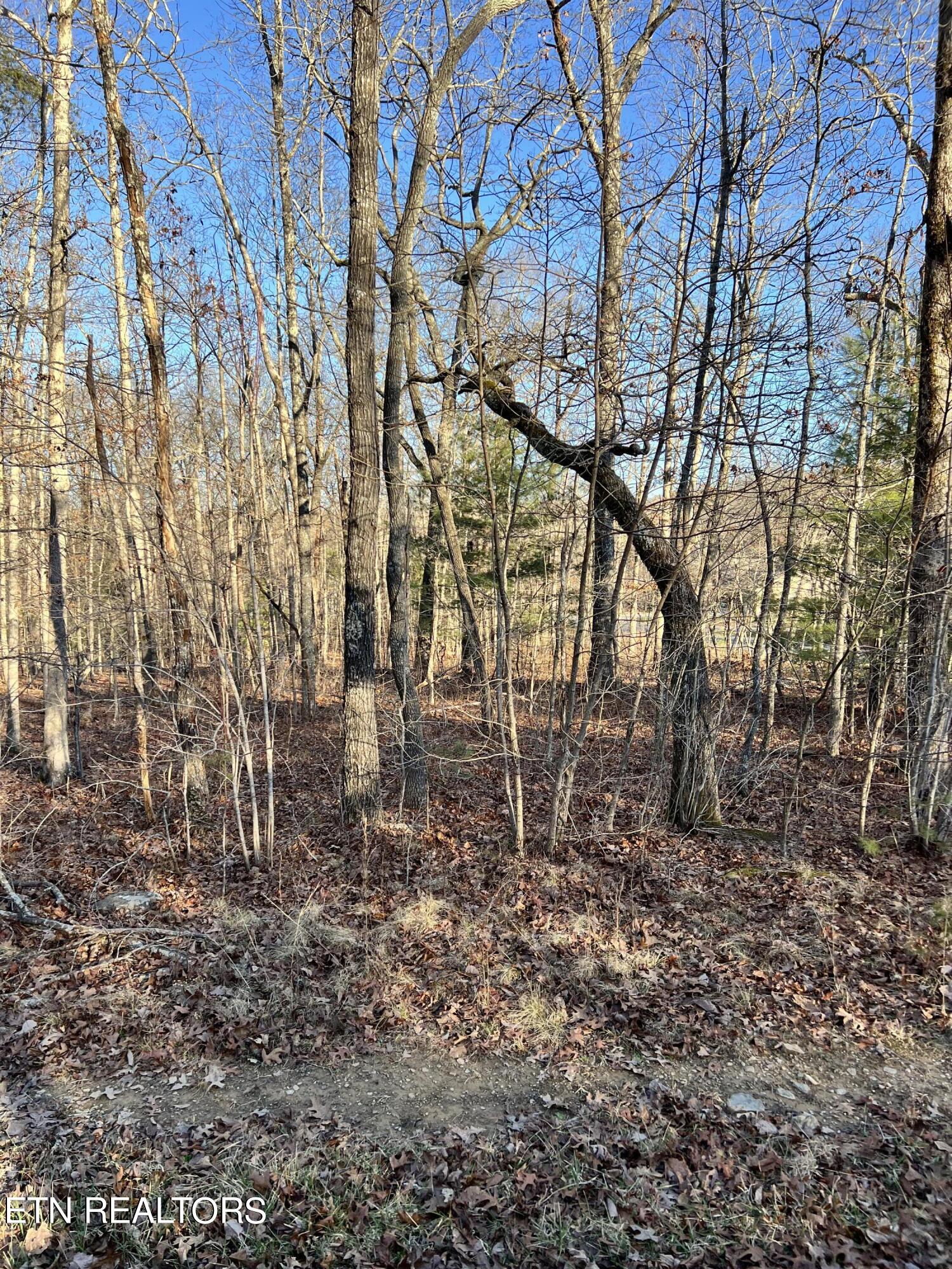 153 Manchester Road Crossville TN 38558