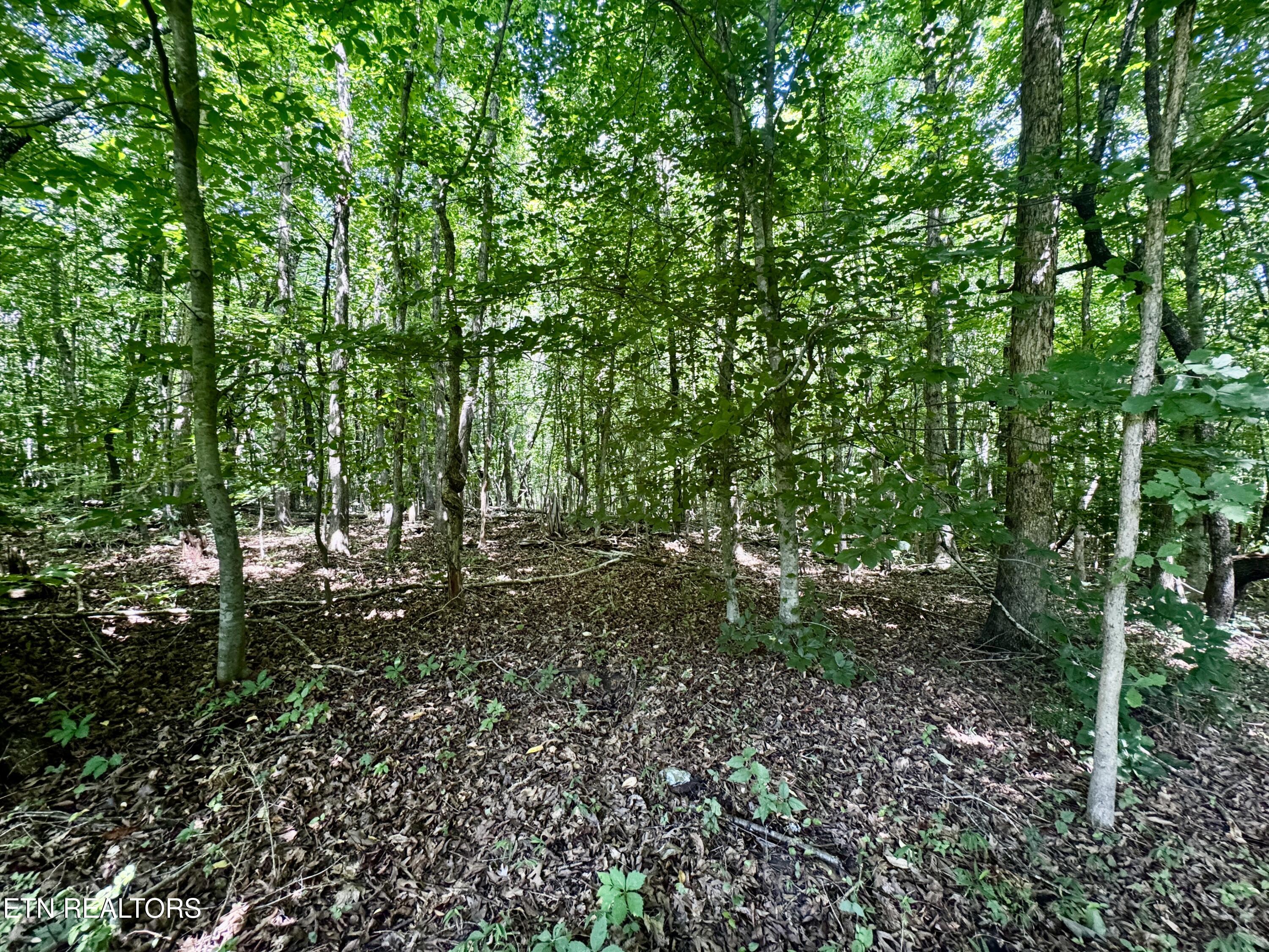 0 Greenwell Road Knoxville TN 37938