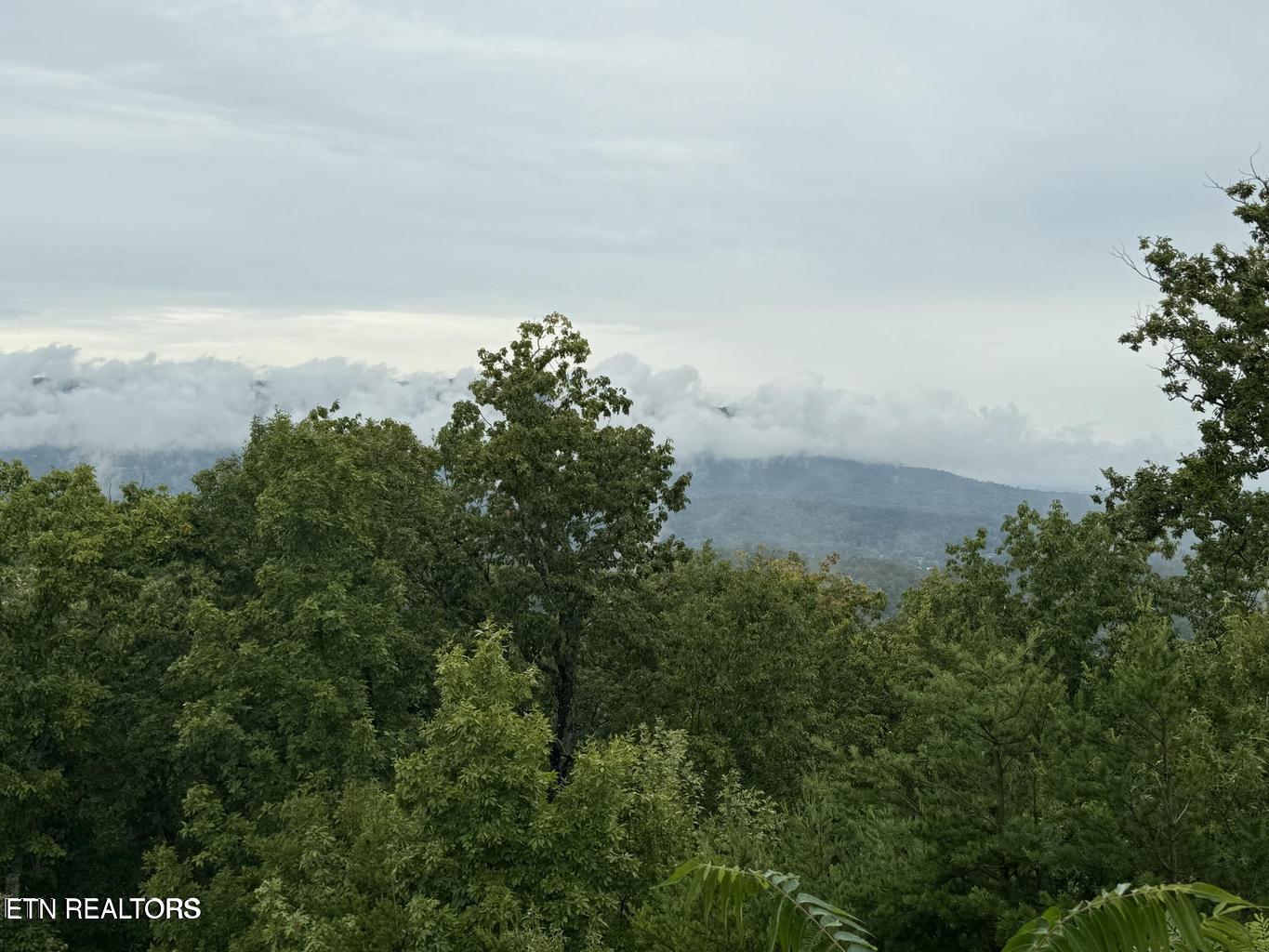 Mountain Ridge Way Sevierville TN 37862